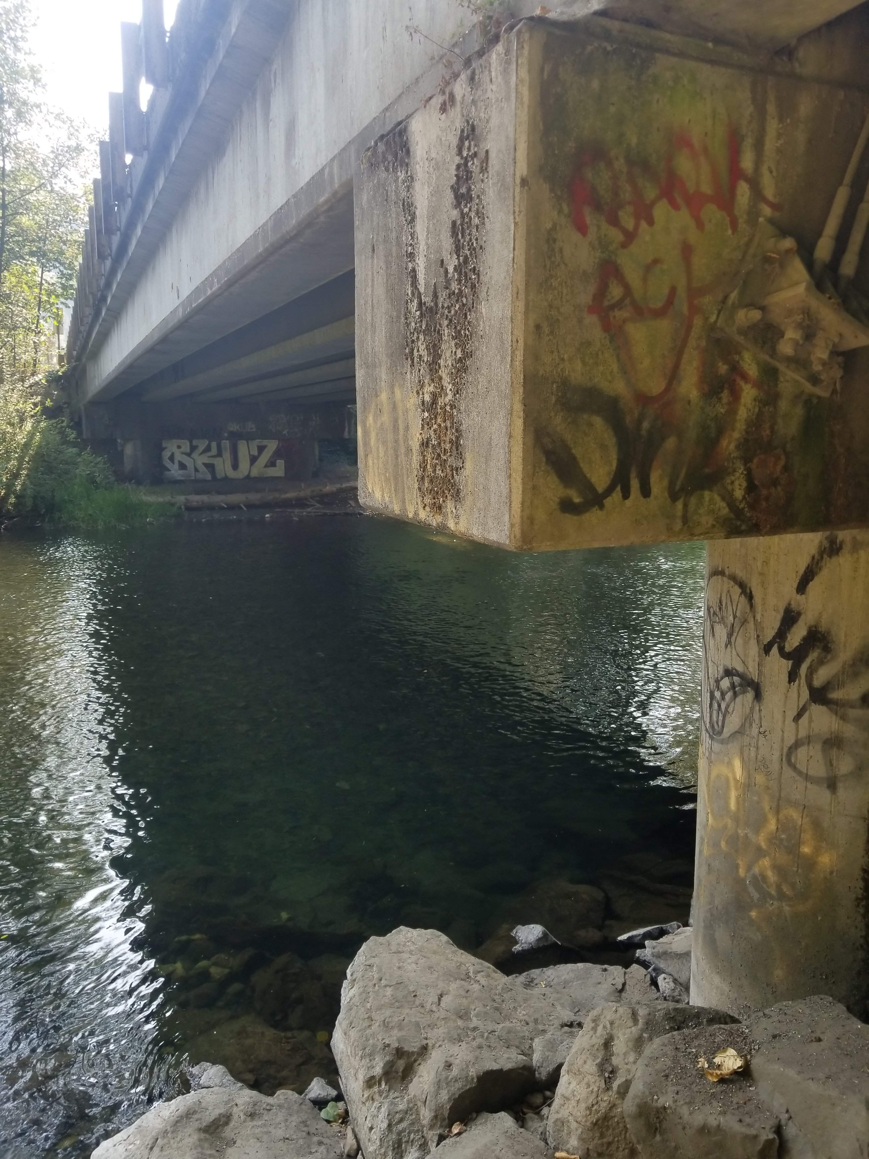 20180818_162545.jpg