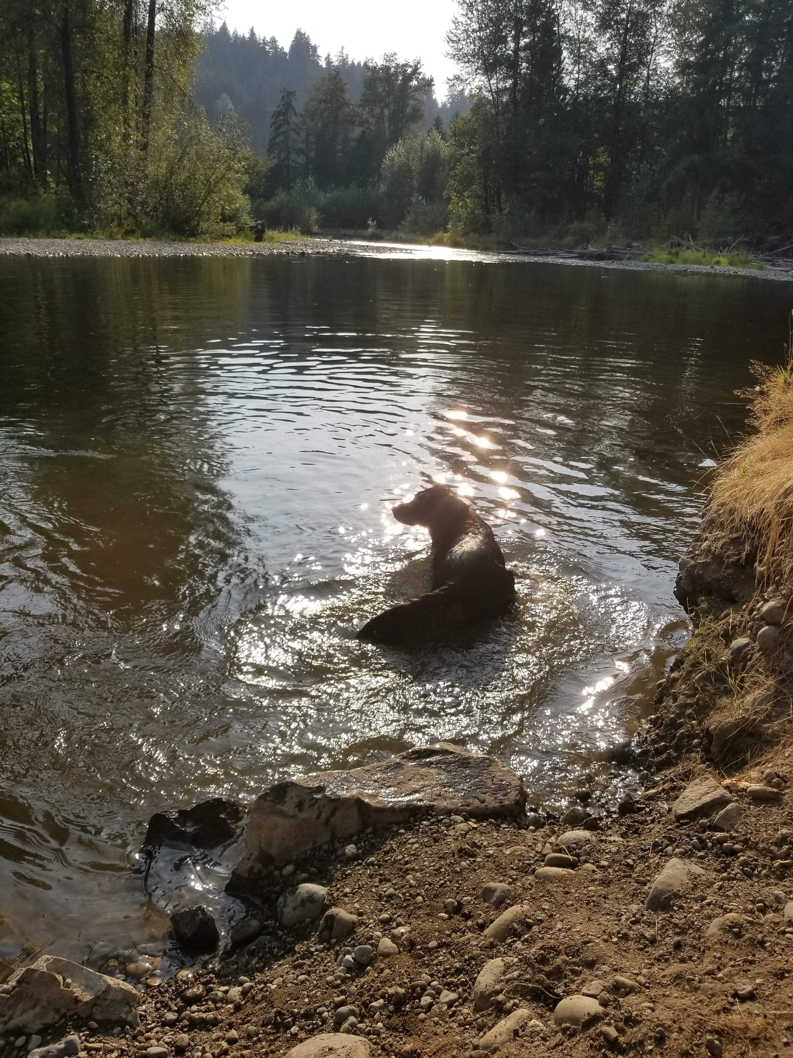 20180818_175803.jpg