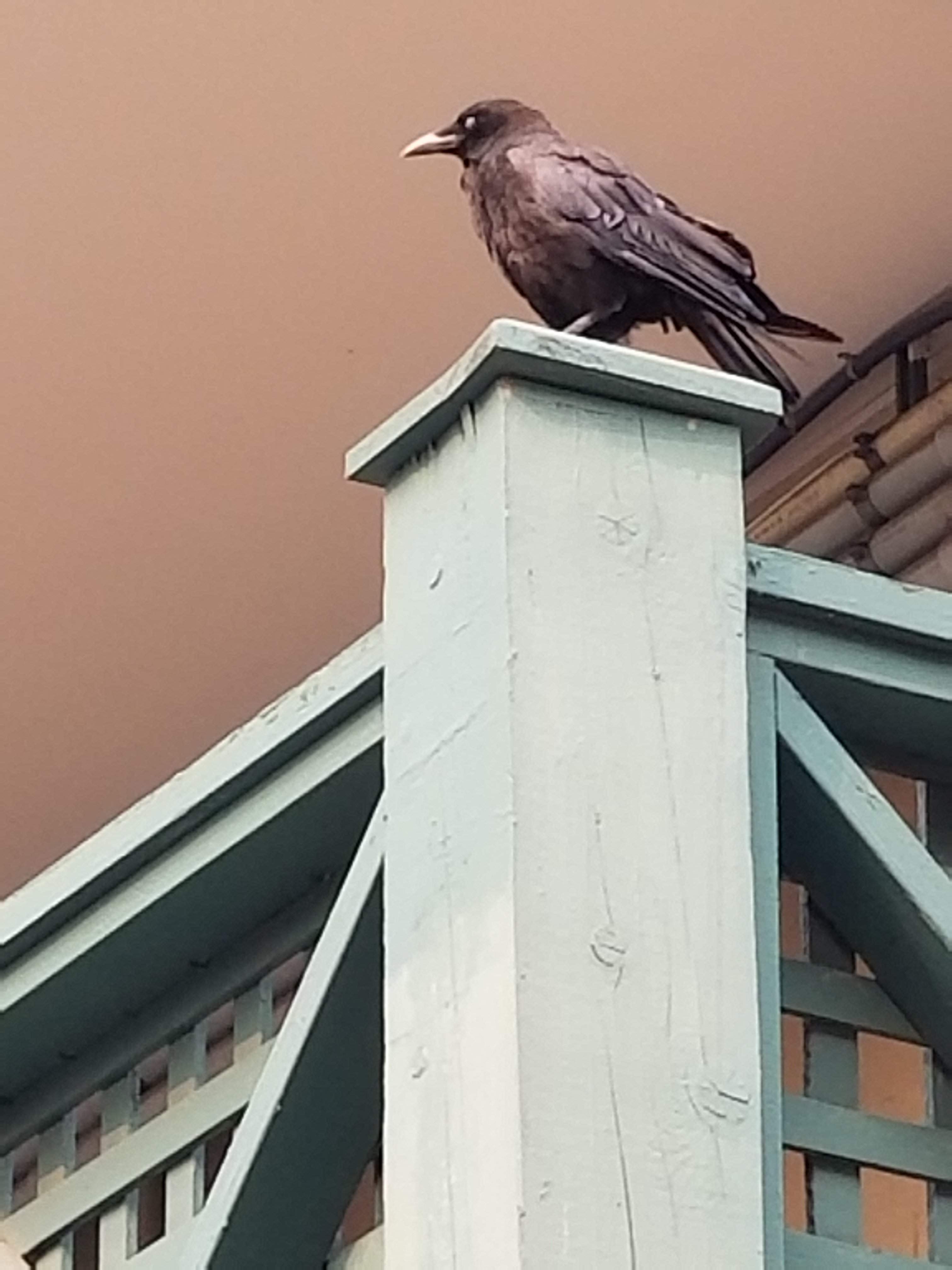 20180819_163534.jpg