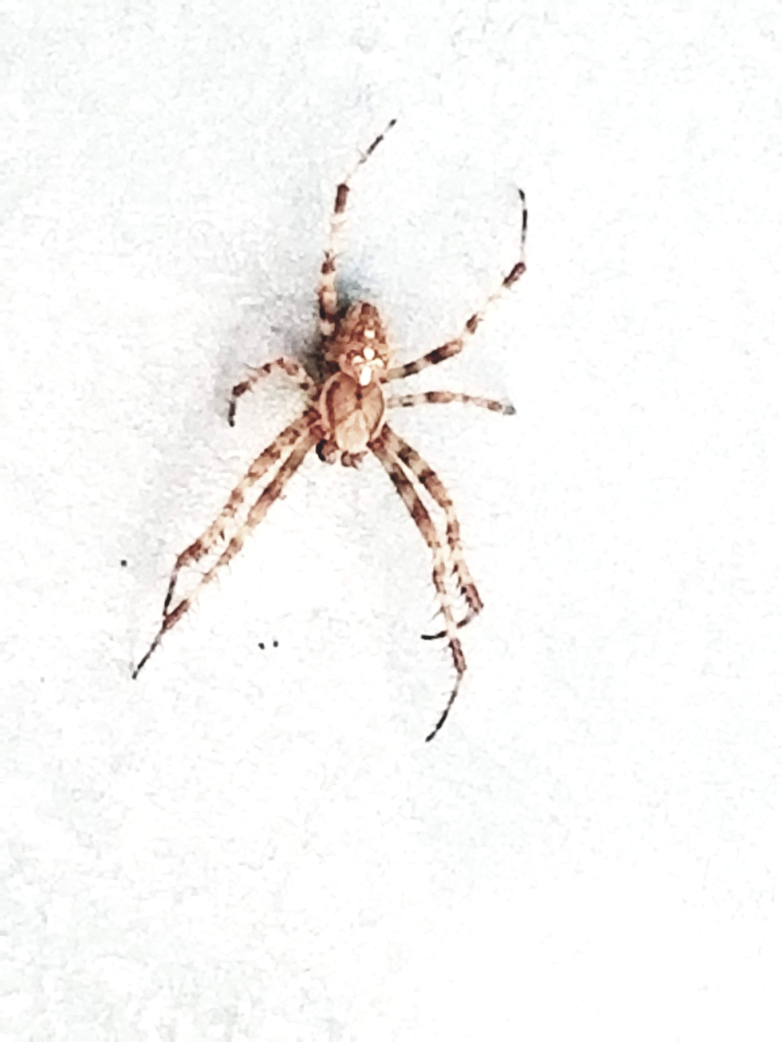 20180820_111509.jpg