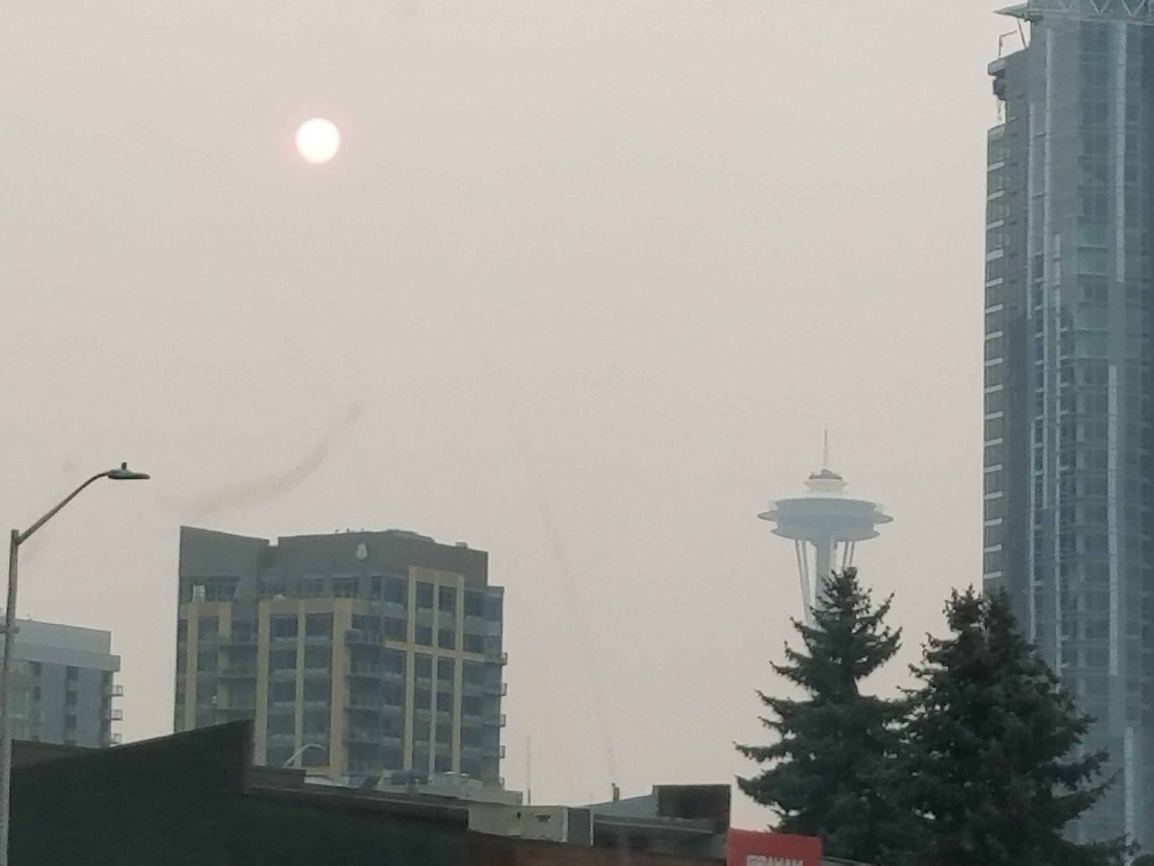 20180820_185942.jpg