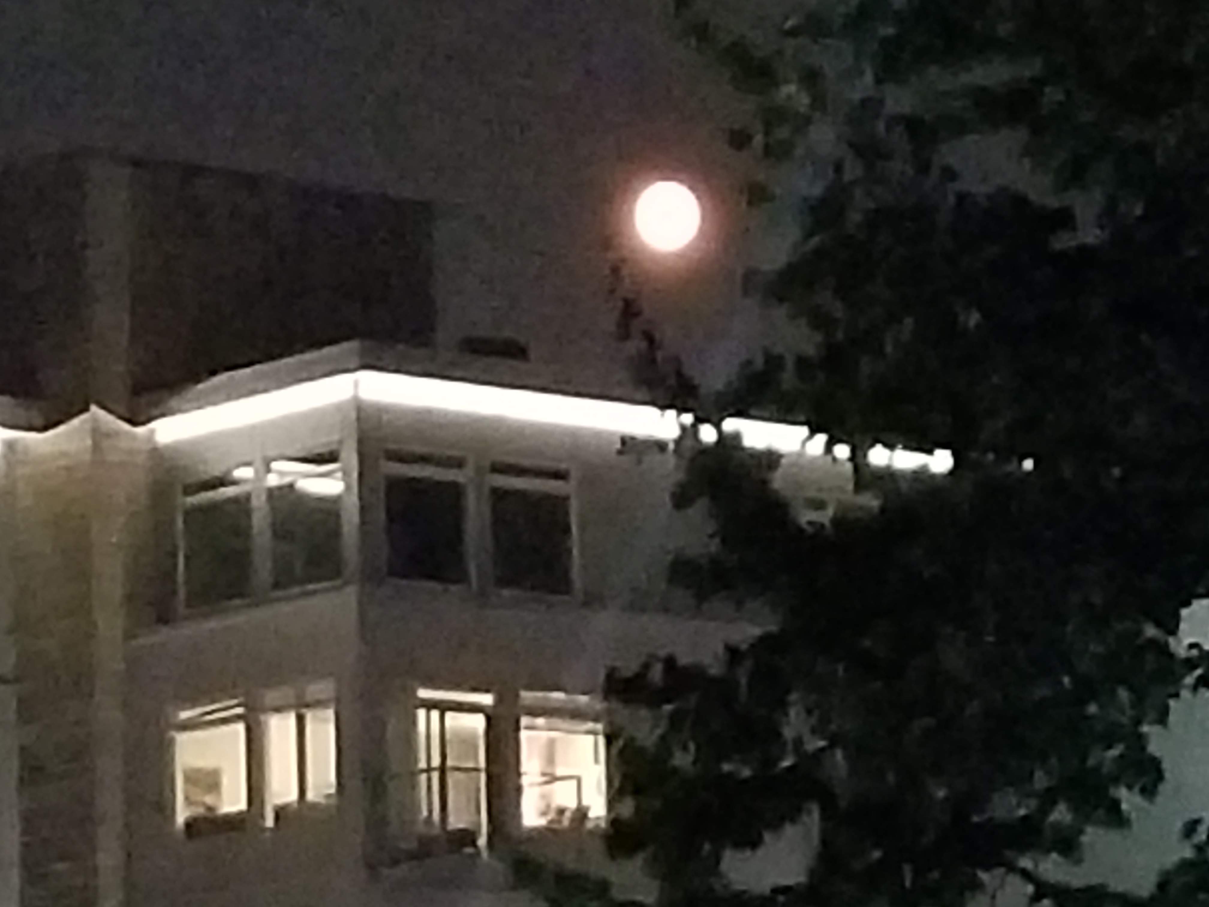 20180824_210557.jpg