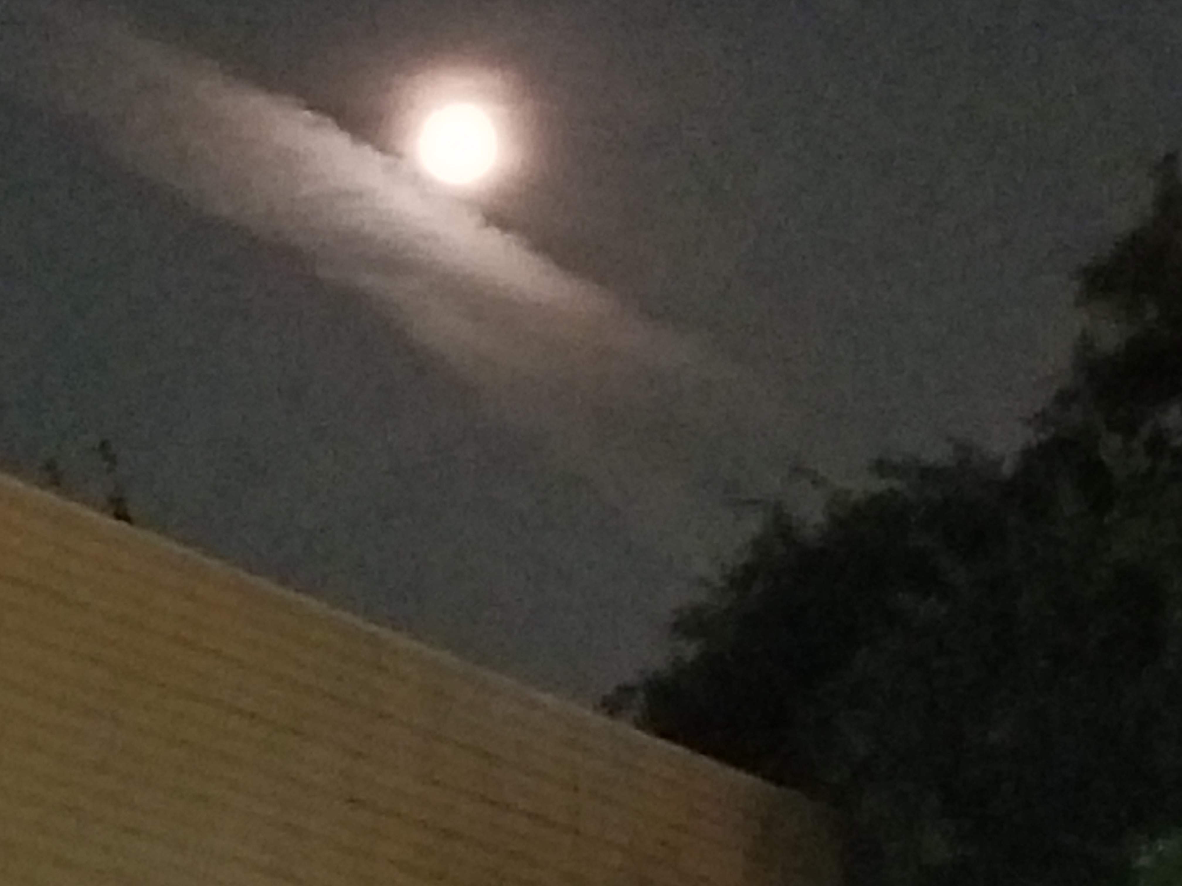 20180824_222219.jpg