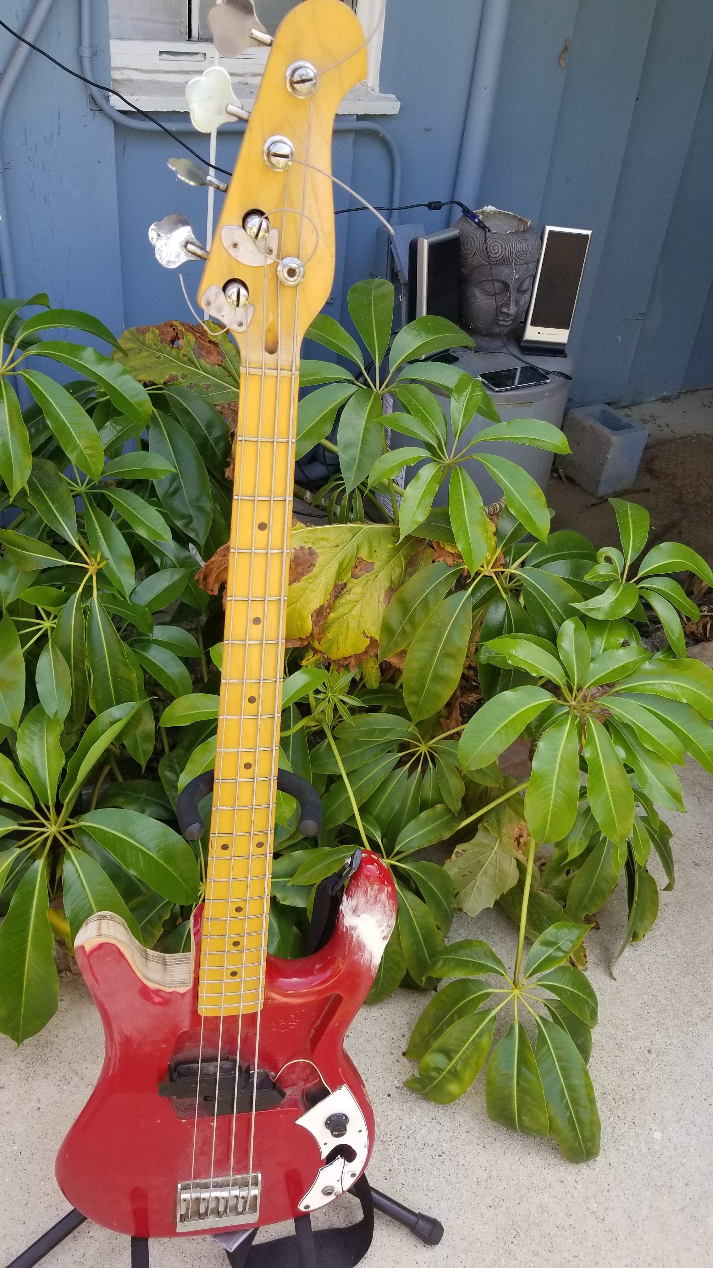 20180825_144632.jpg