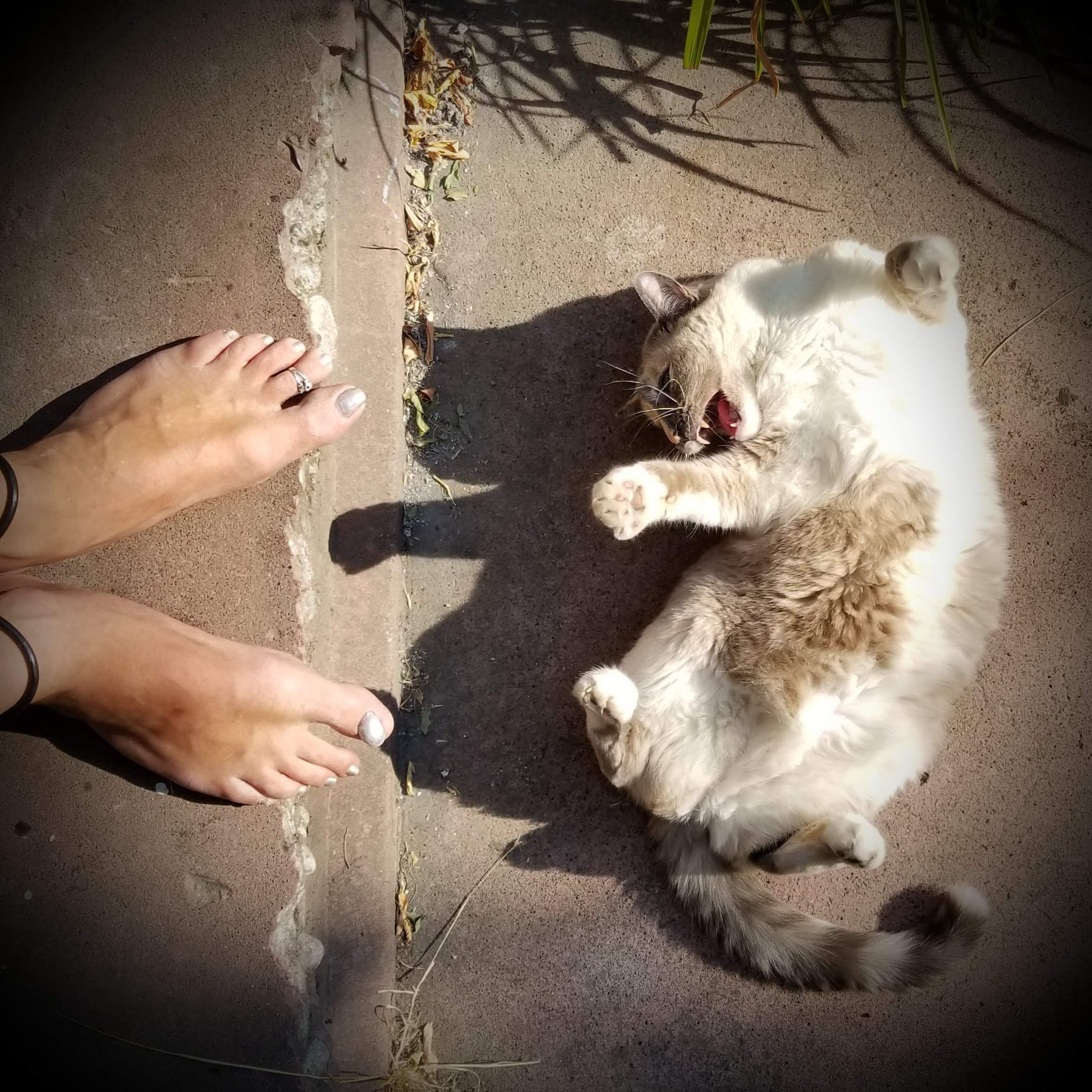 20180828_012527.jpg