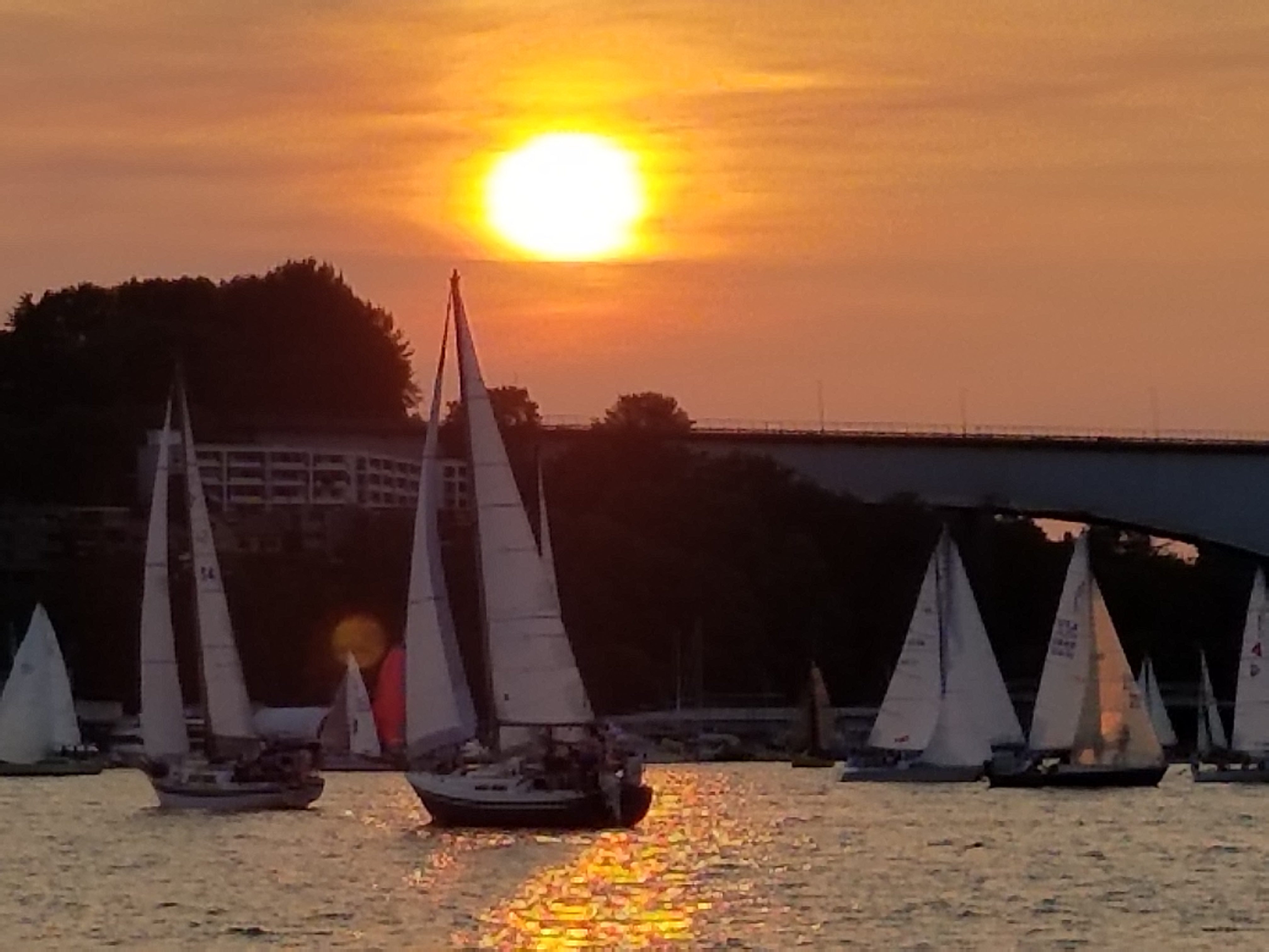 20180828_192026.jpg