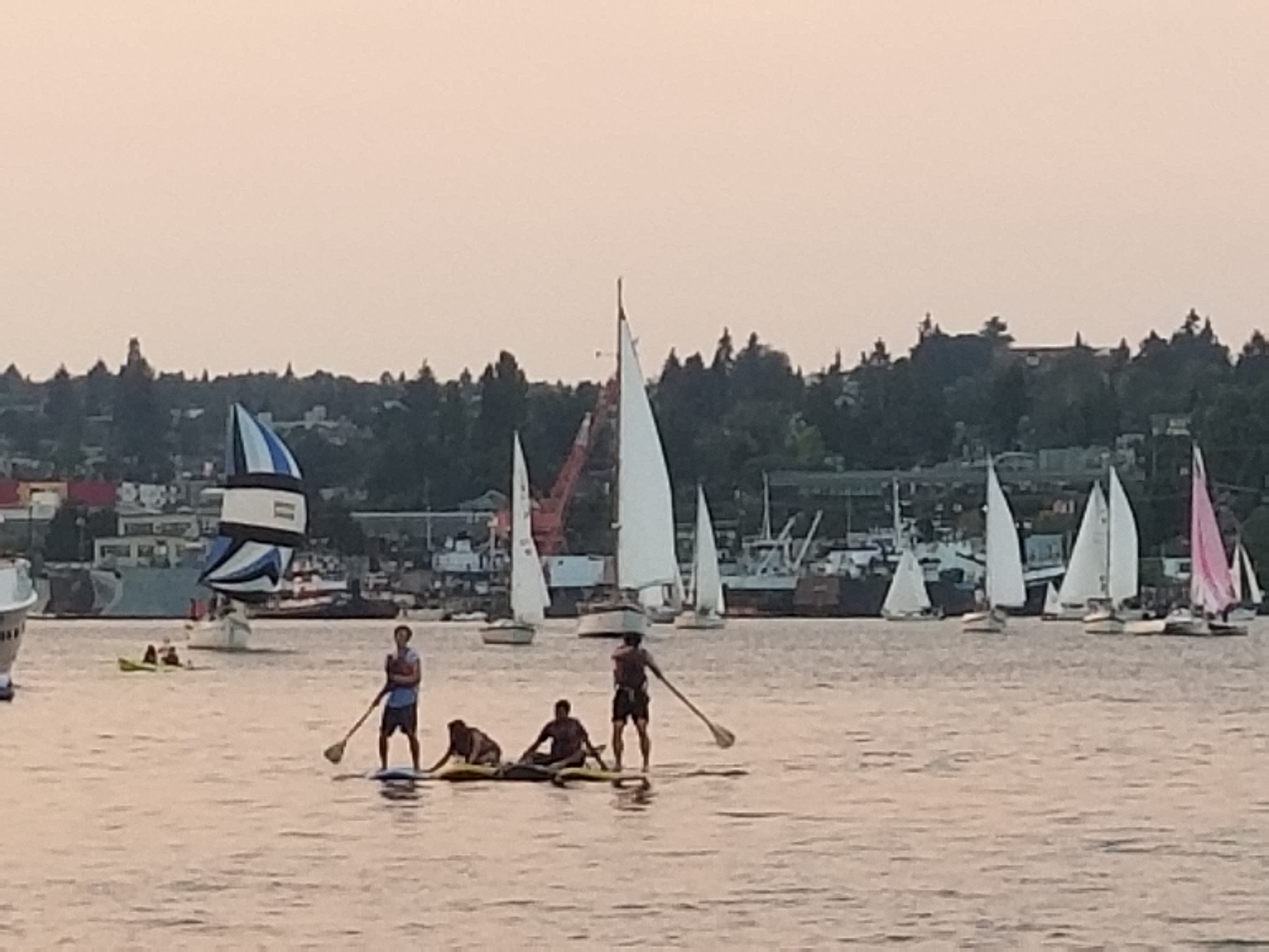 20180828_194319.jpg