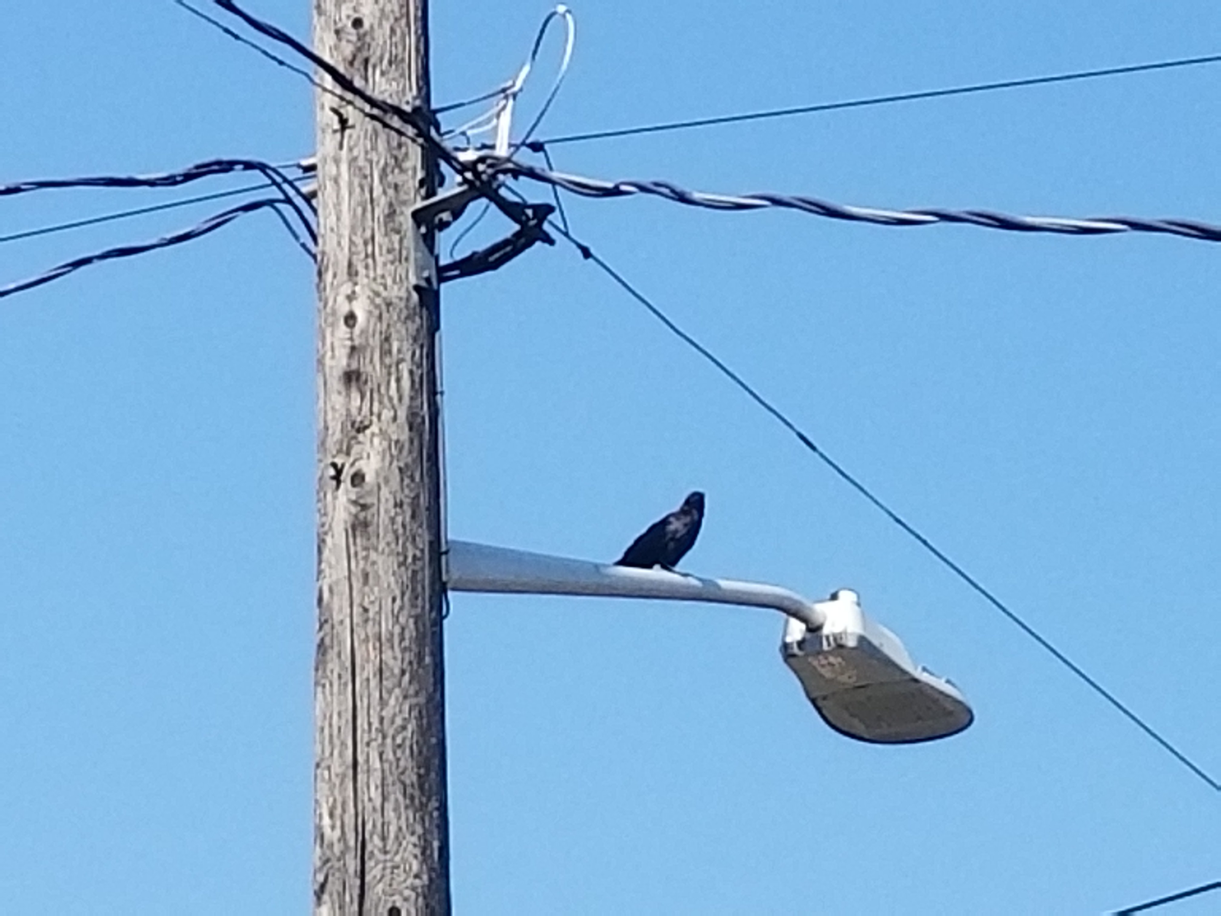 20180905_125120.jpg