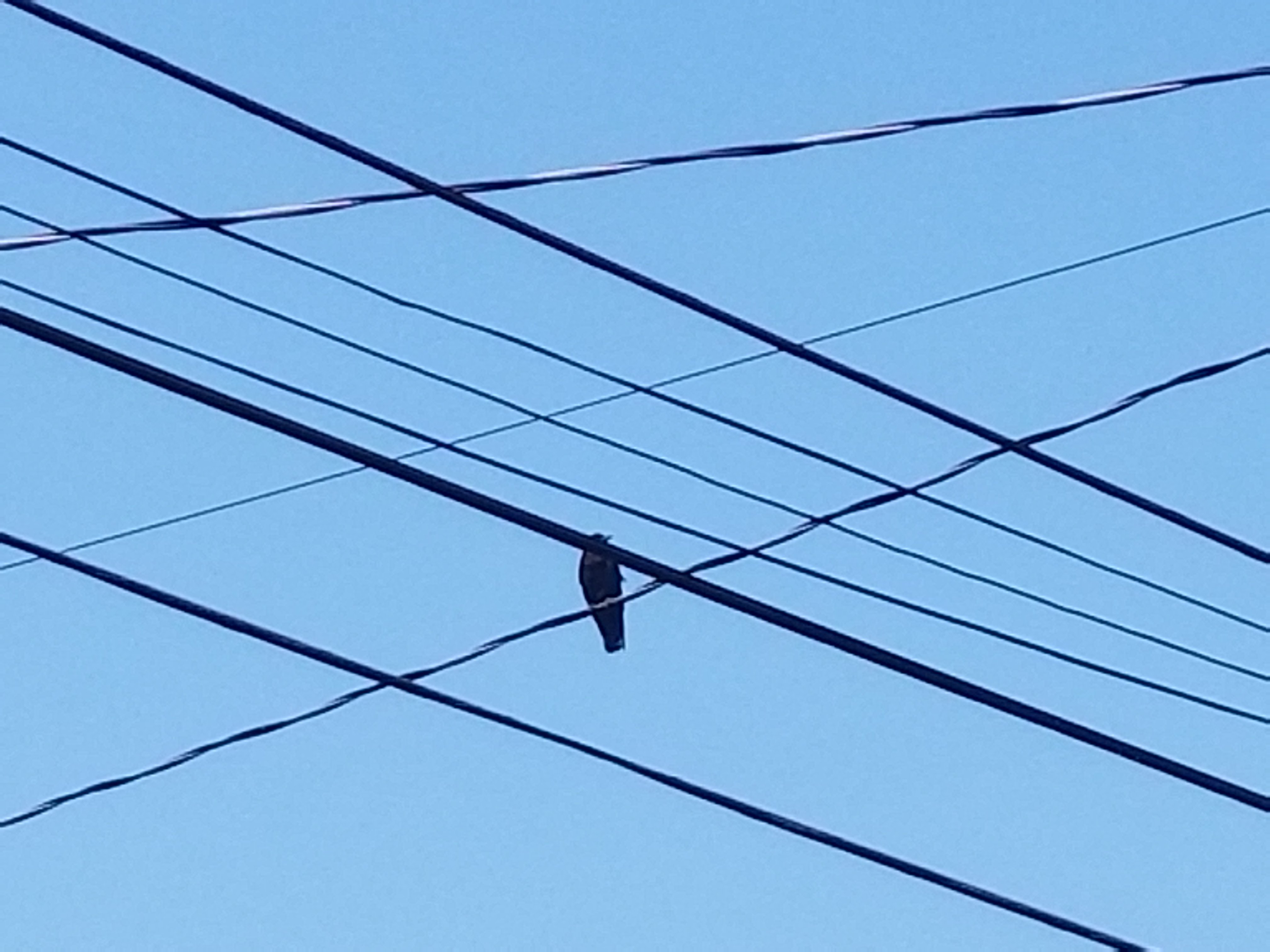 20180905_125125.jpg