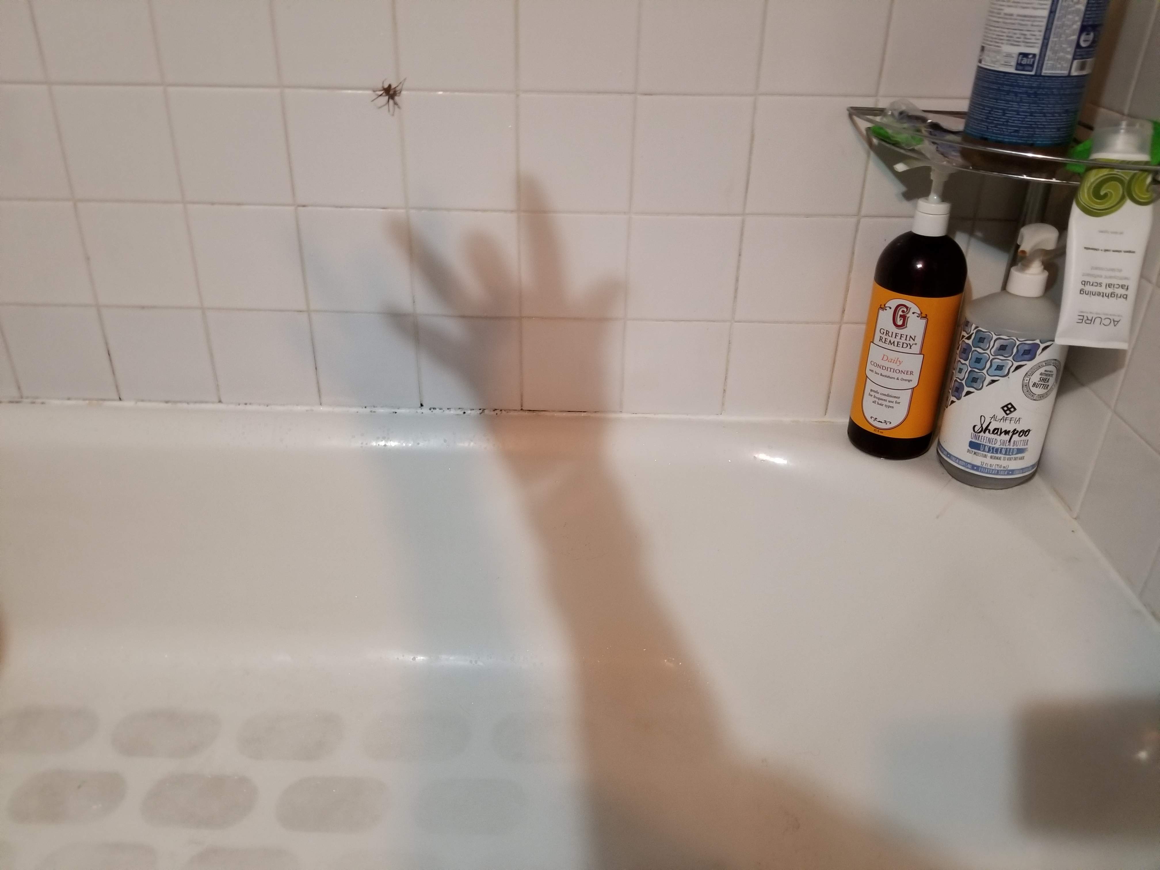 20180905_234808.jpg
