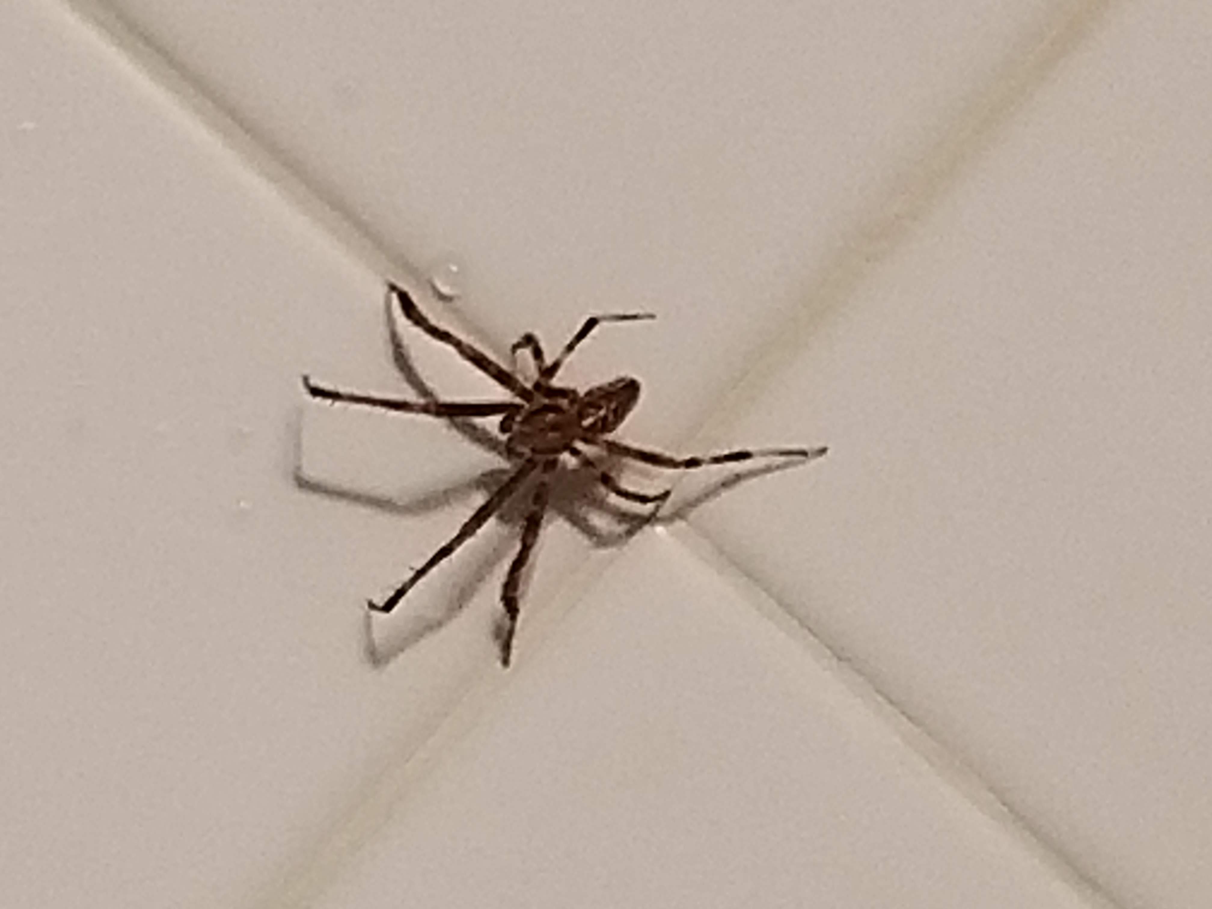 20180905_234828.jpg
