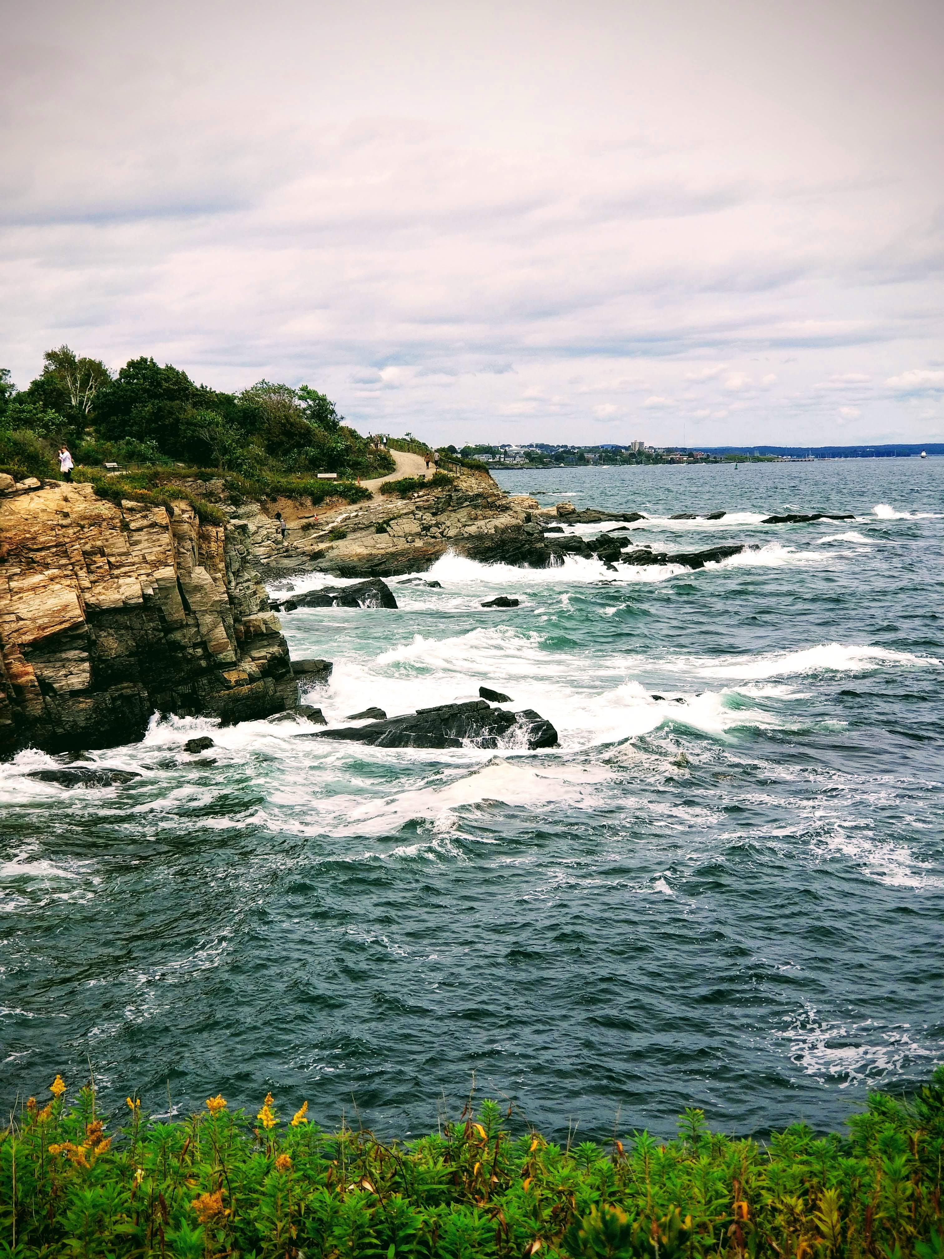 20180910_121419-EFFECTS.jpg