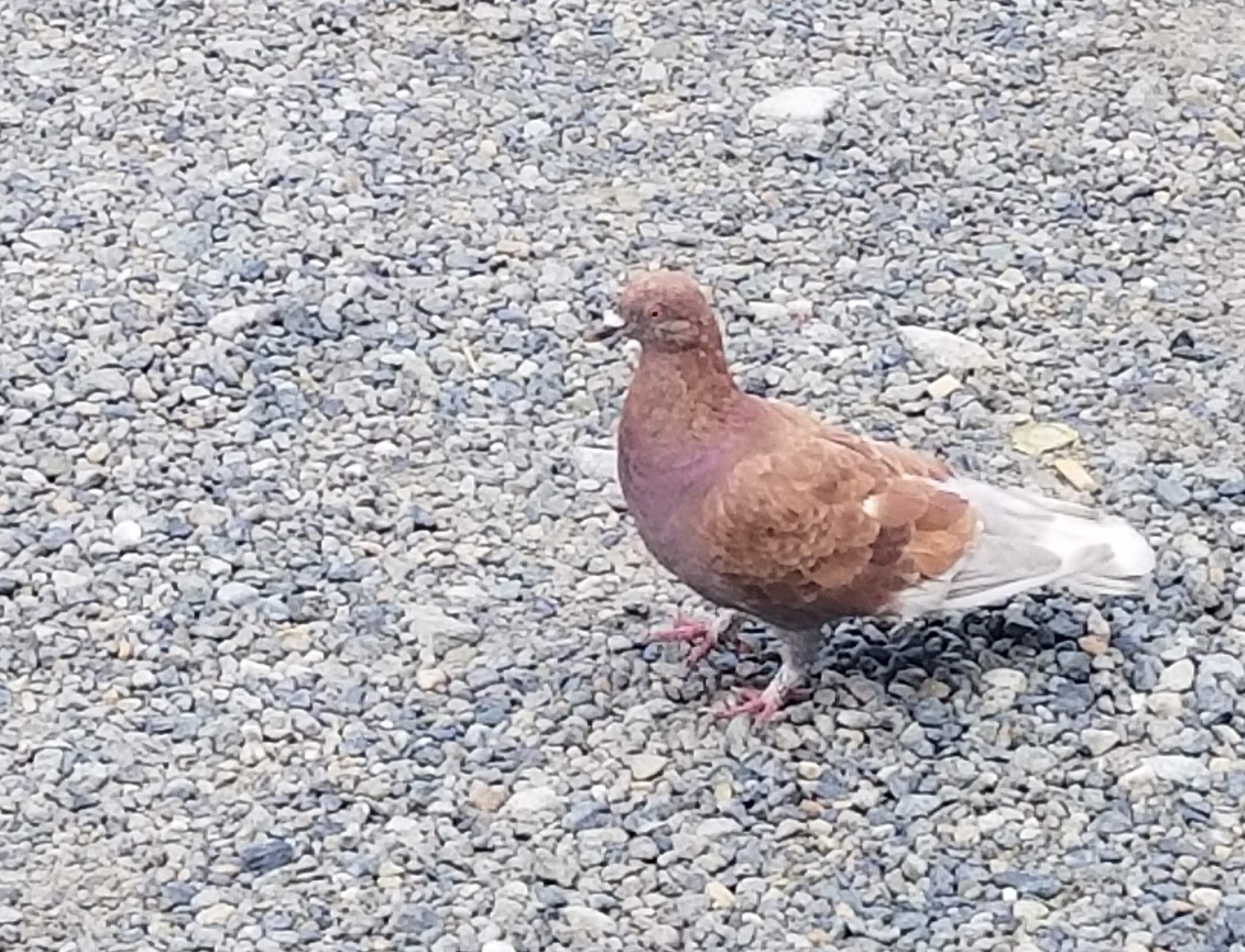 20180916_222829.jpg
