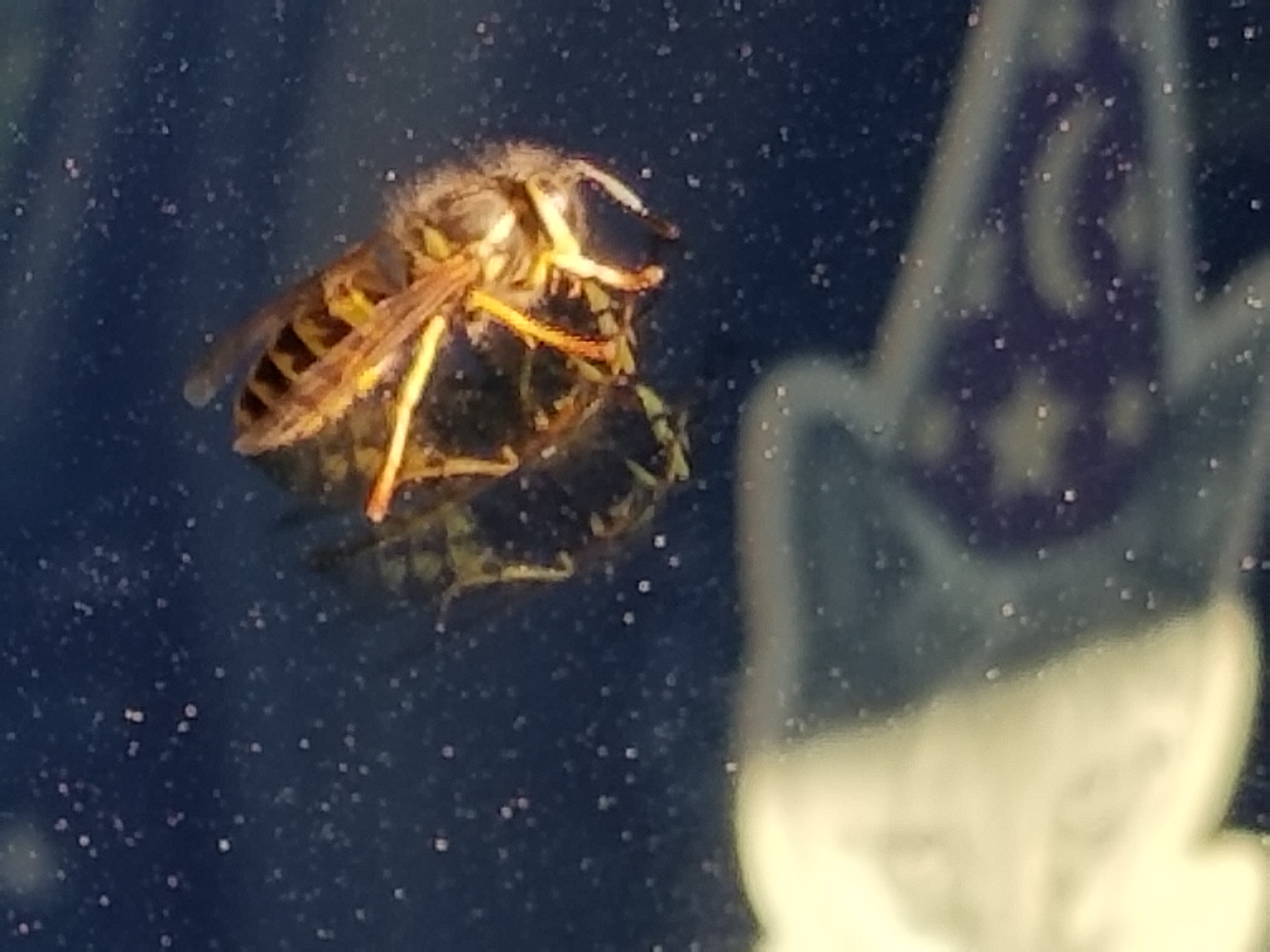 20180918_164055.jpg