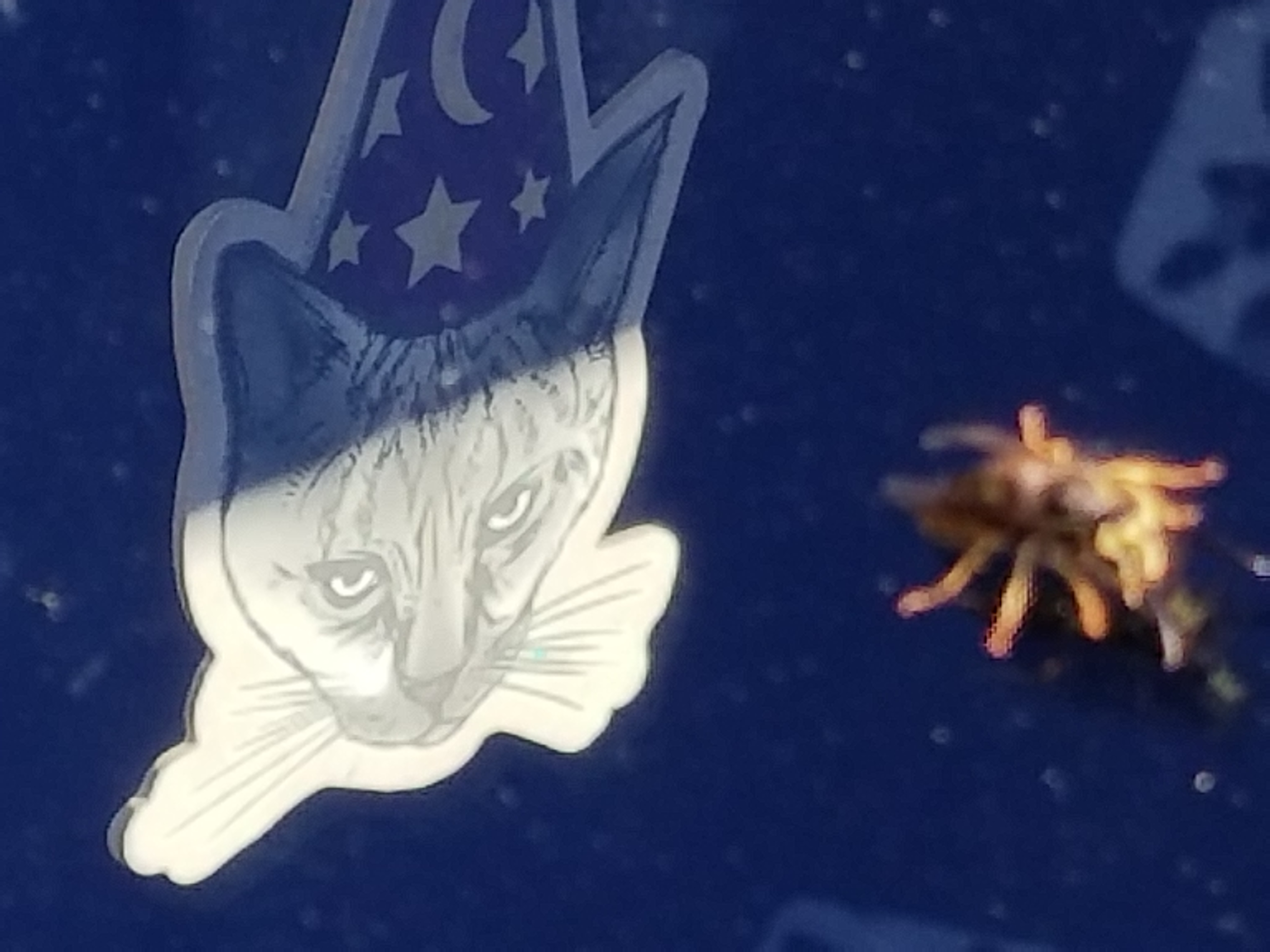 20180918_164118.jpg
