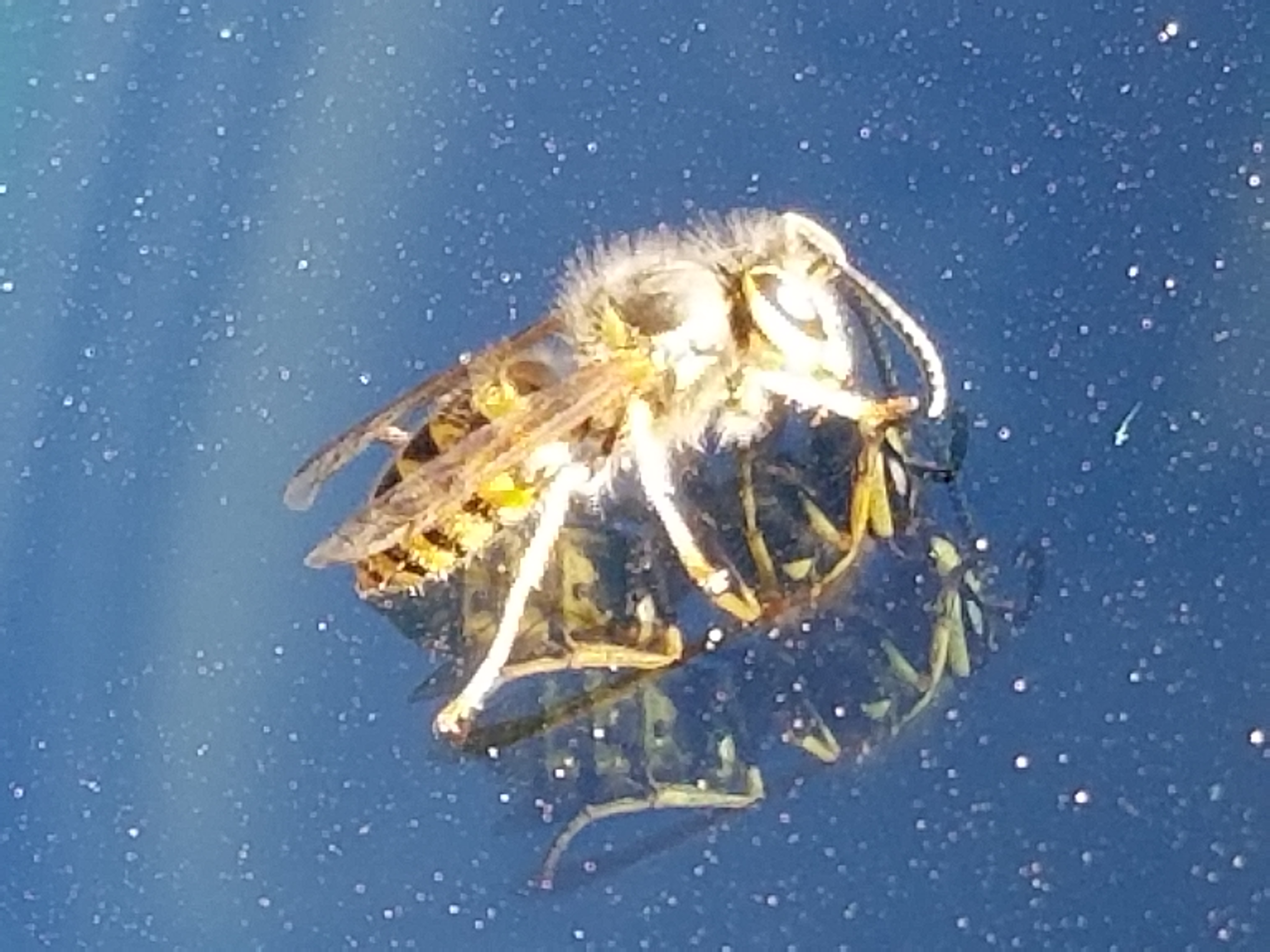 20180918_164136.jpg