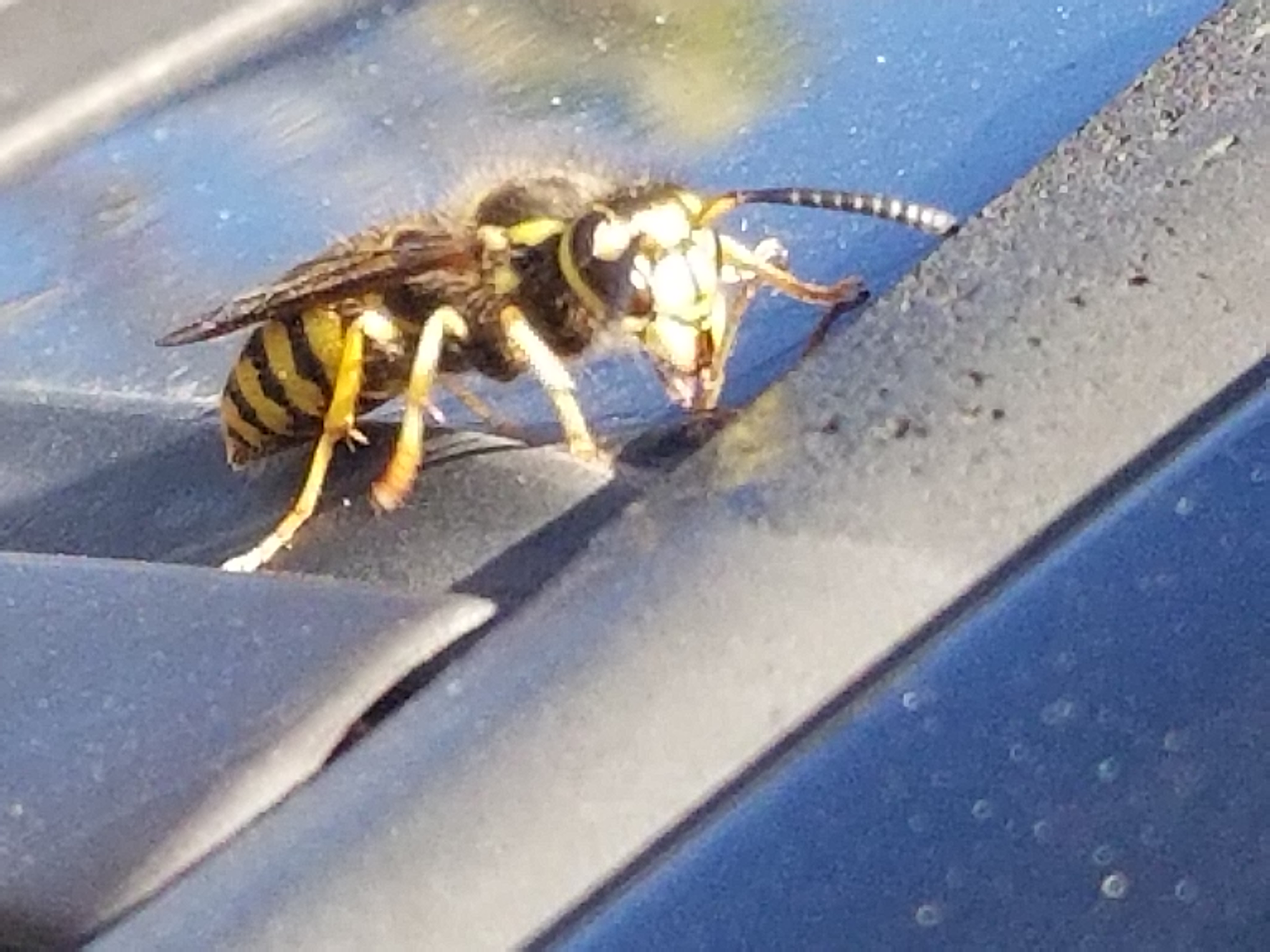 20180918_164219.jpg