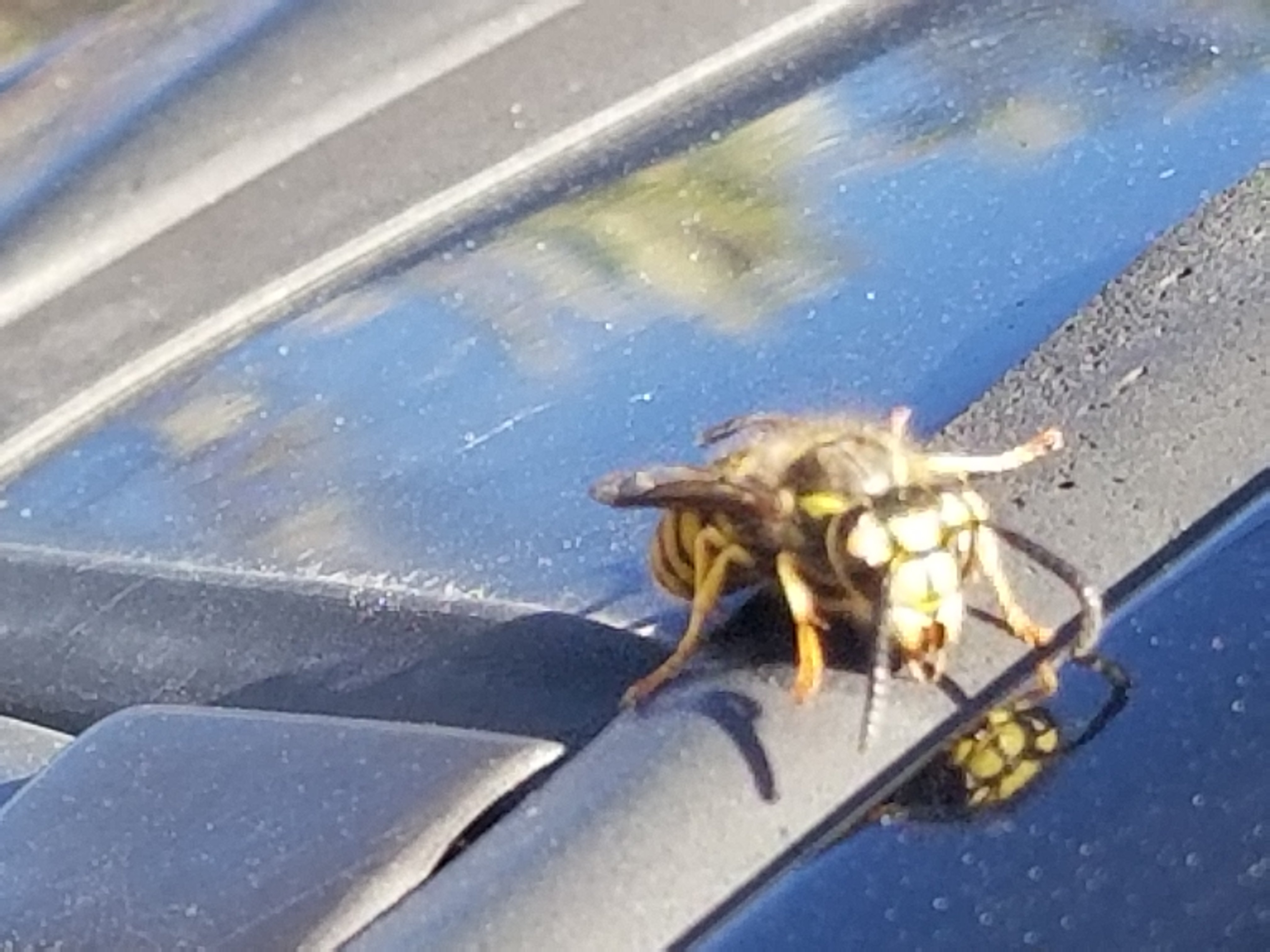 20180918_164222.jpg