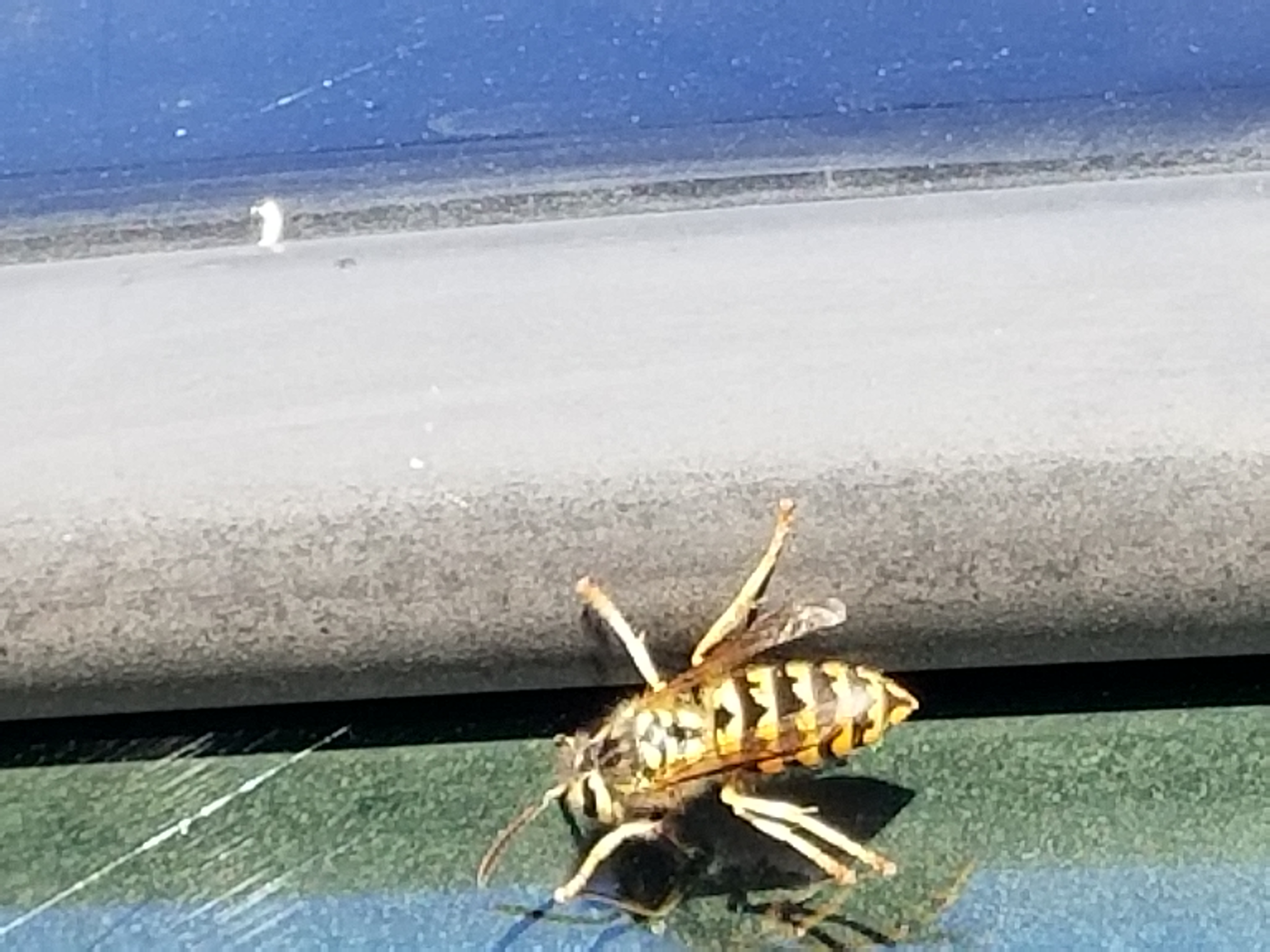 20180918_164246.jpg