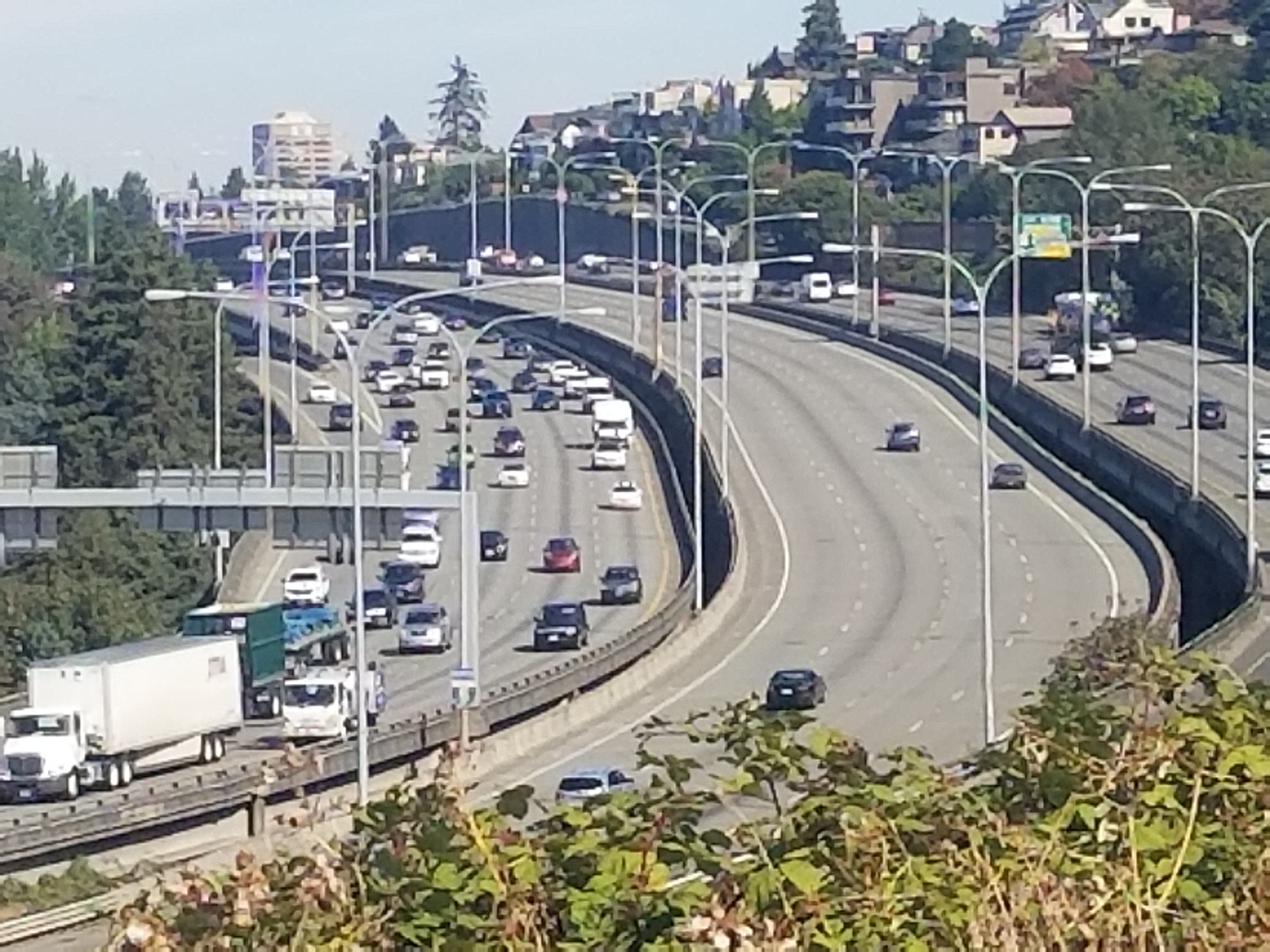20180919_115239.jpg
