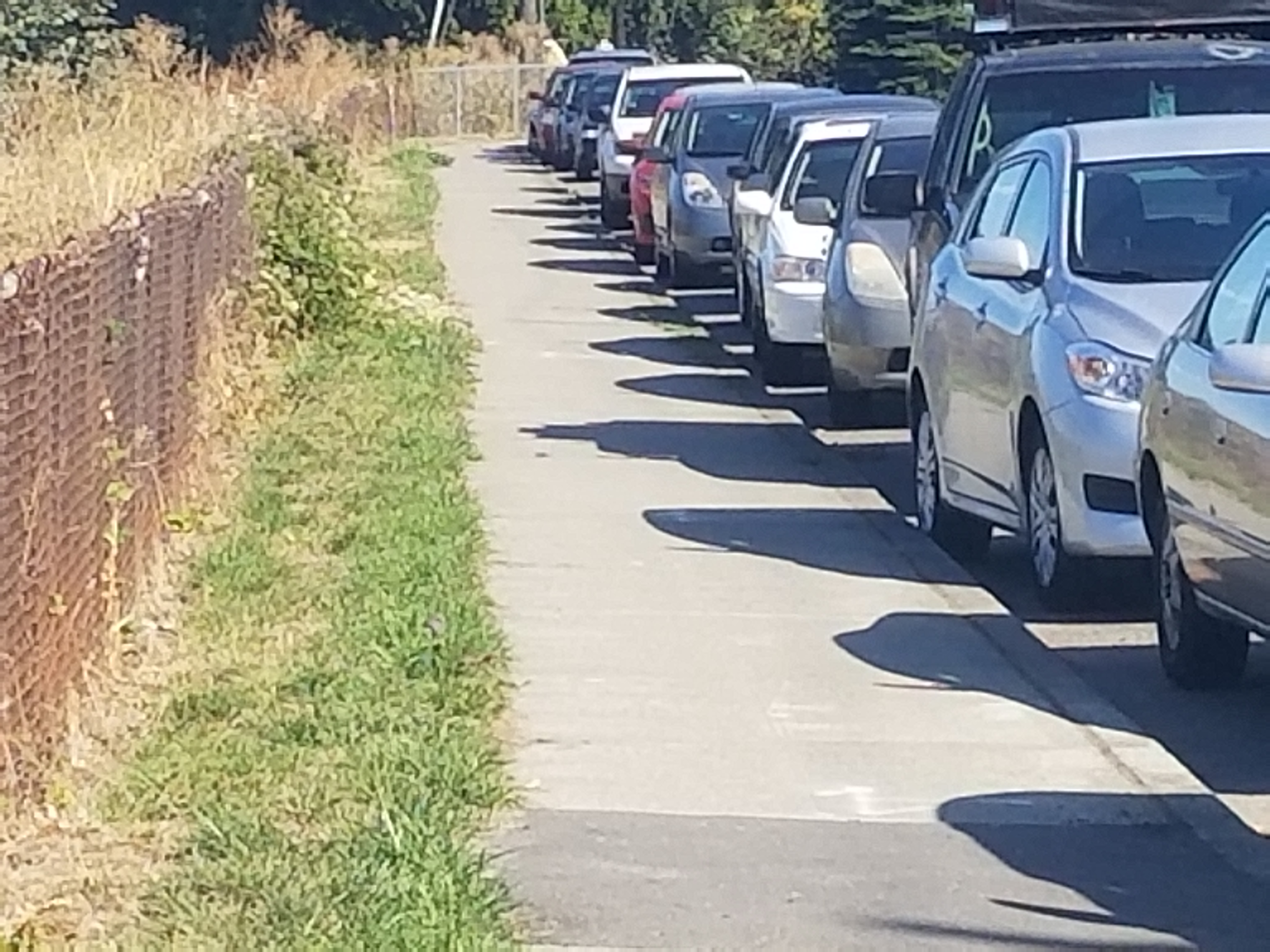 20180919_115648.jpg