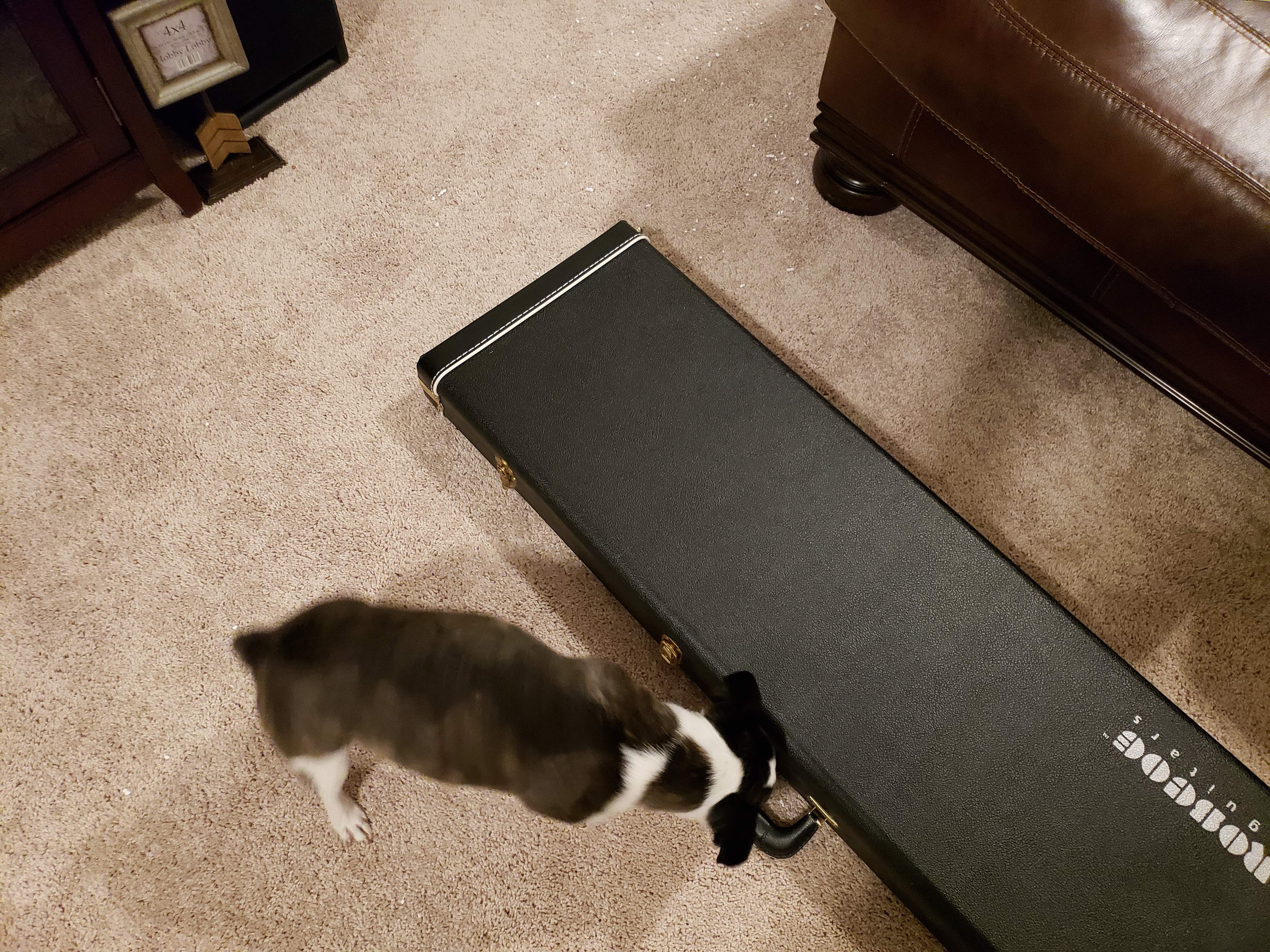 20180919_211310.jpg