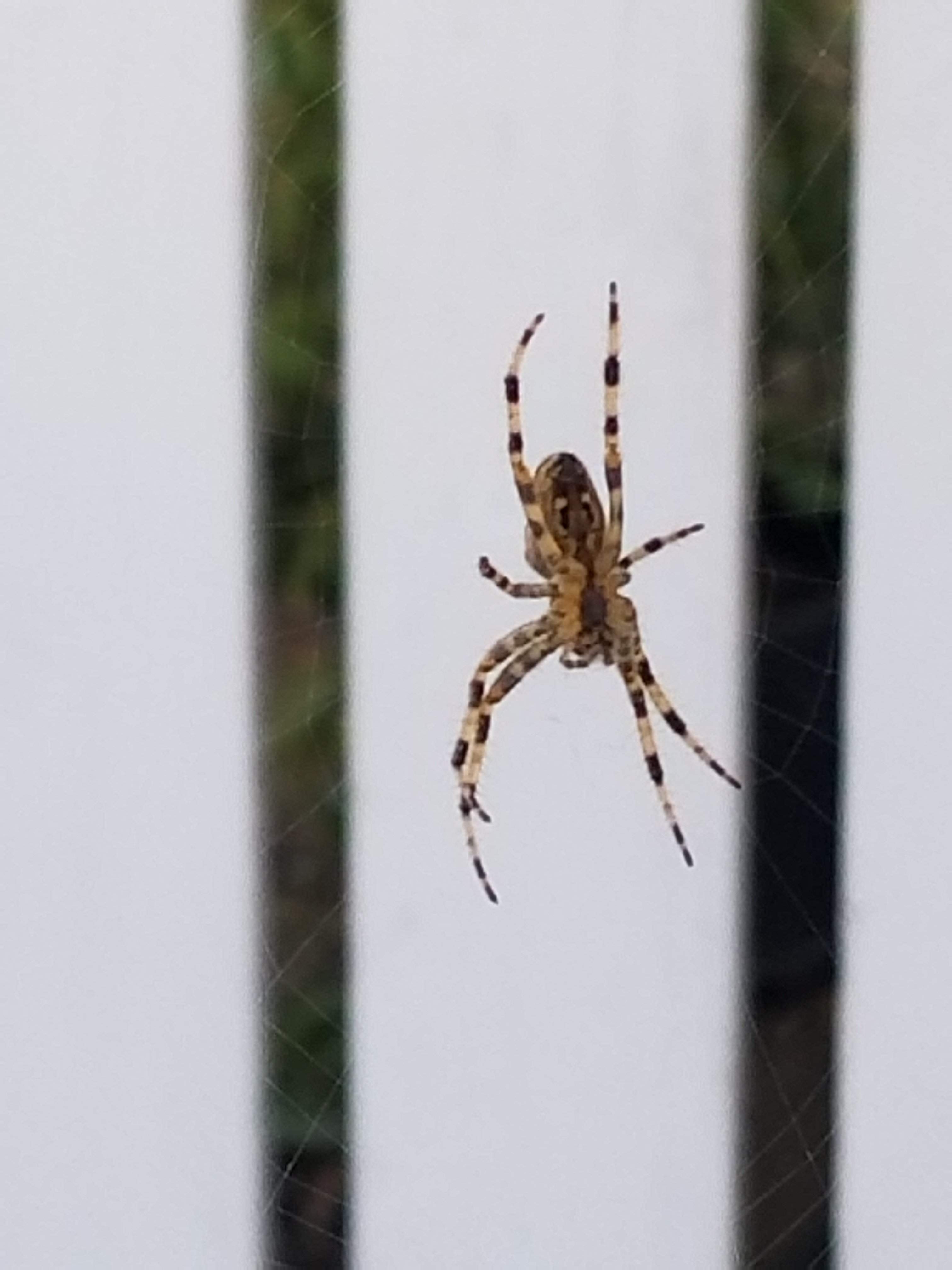 20180924_110428.jpg