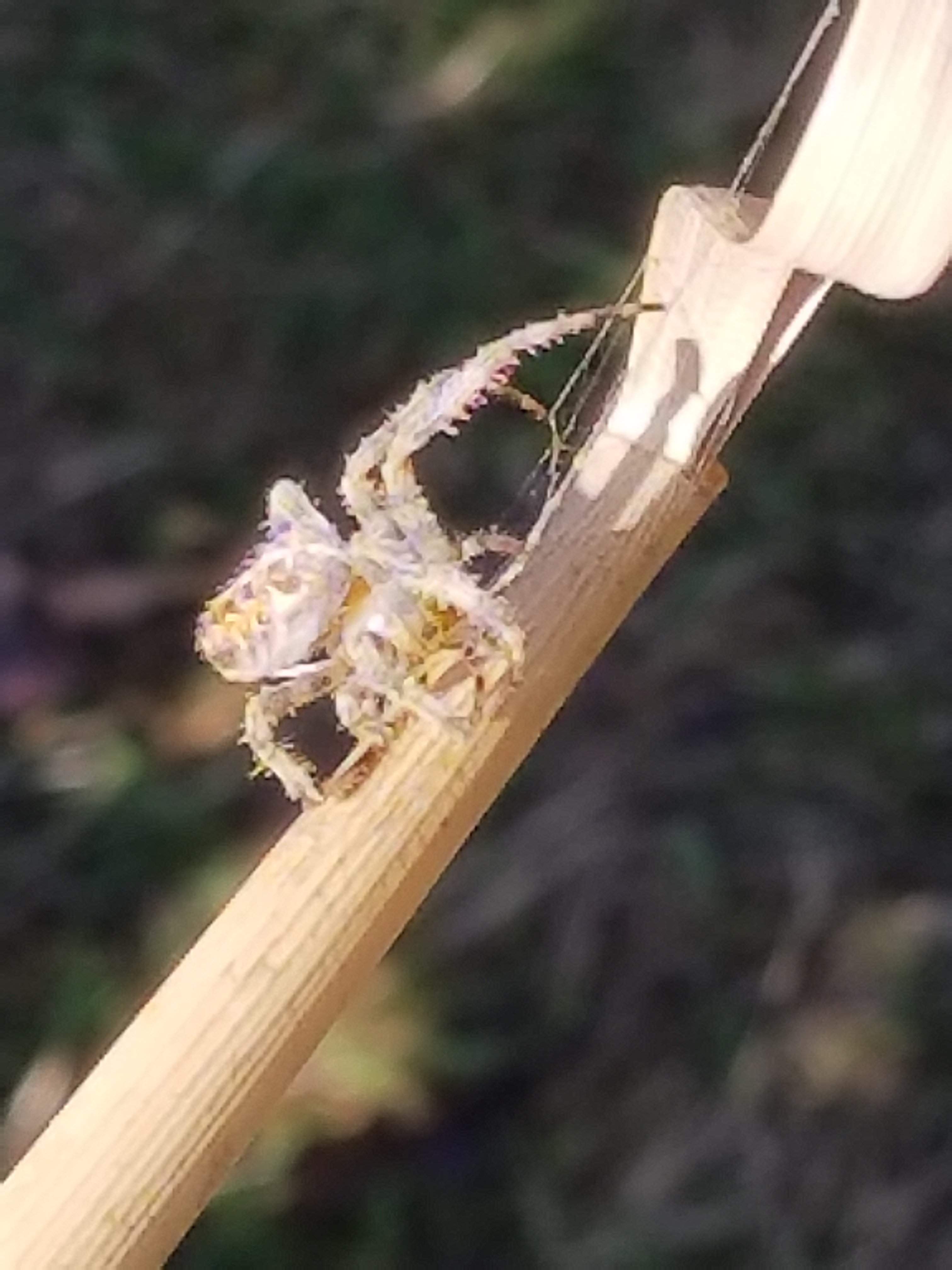 20180924_110503.jpg