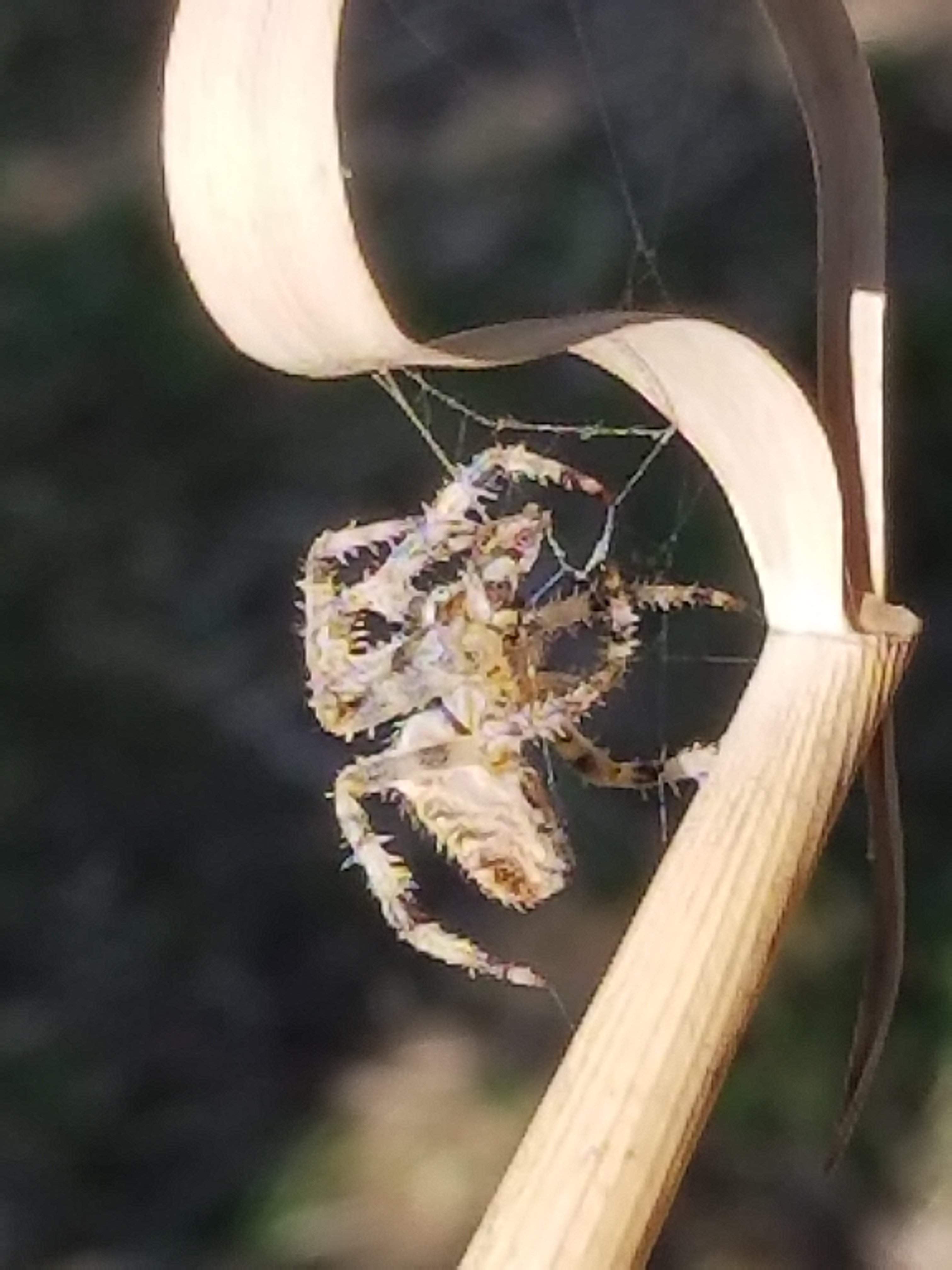 20180924_110516.jpg