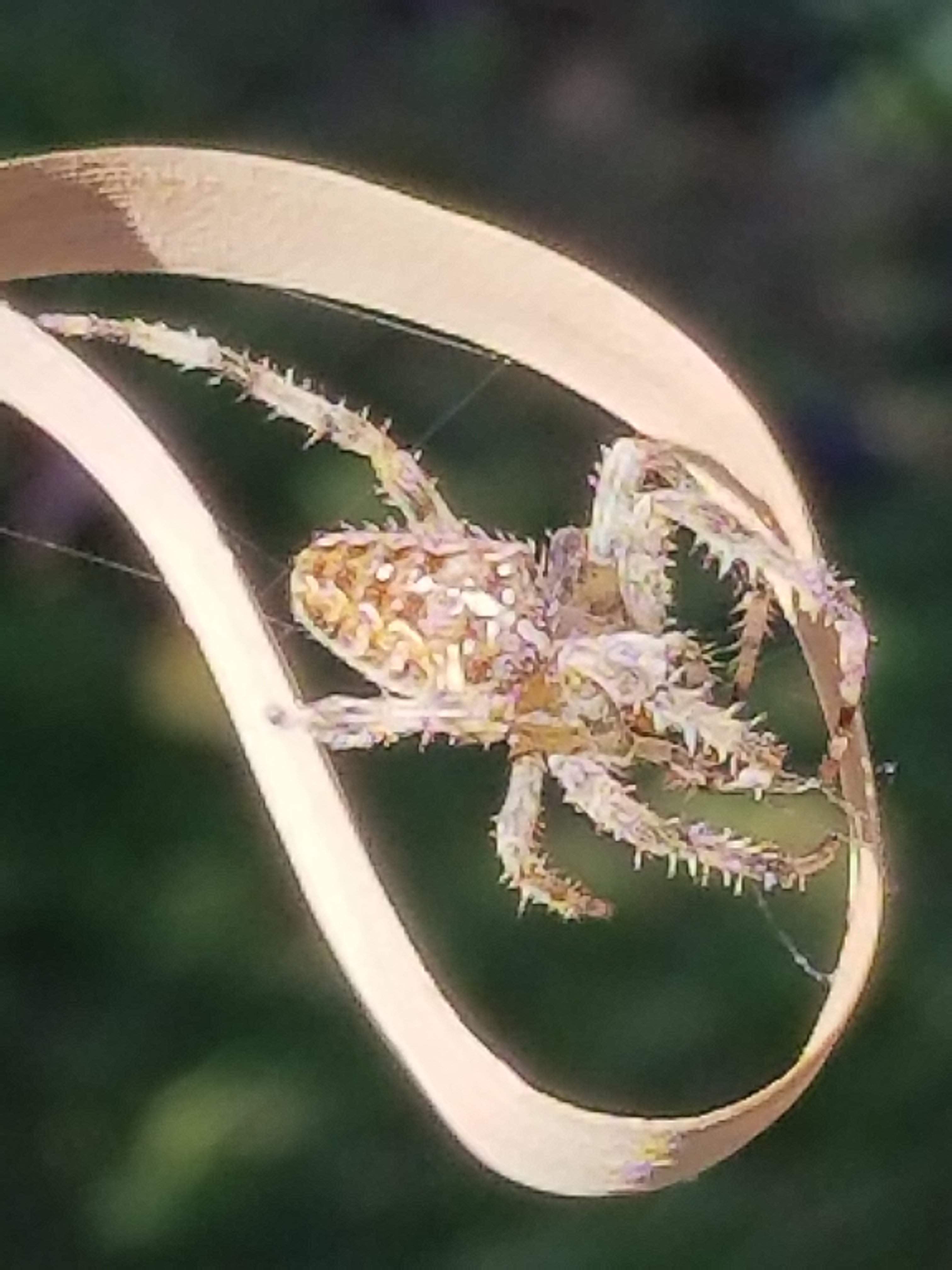 20180924_110612.jpg