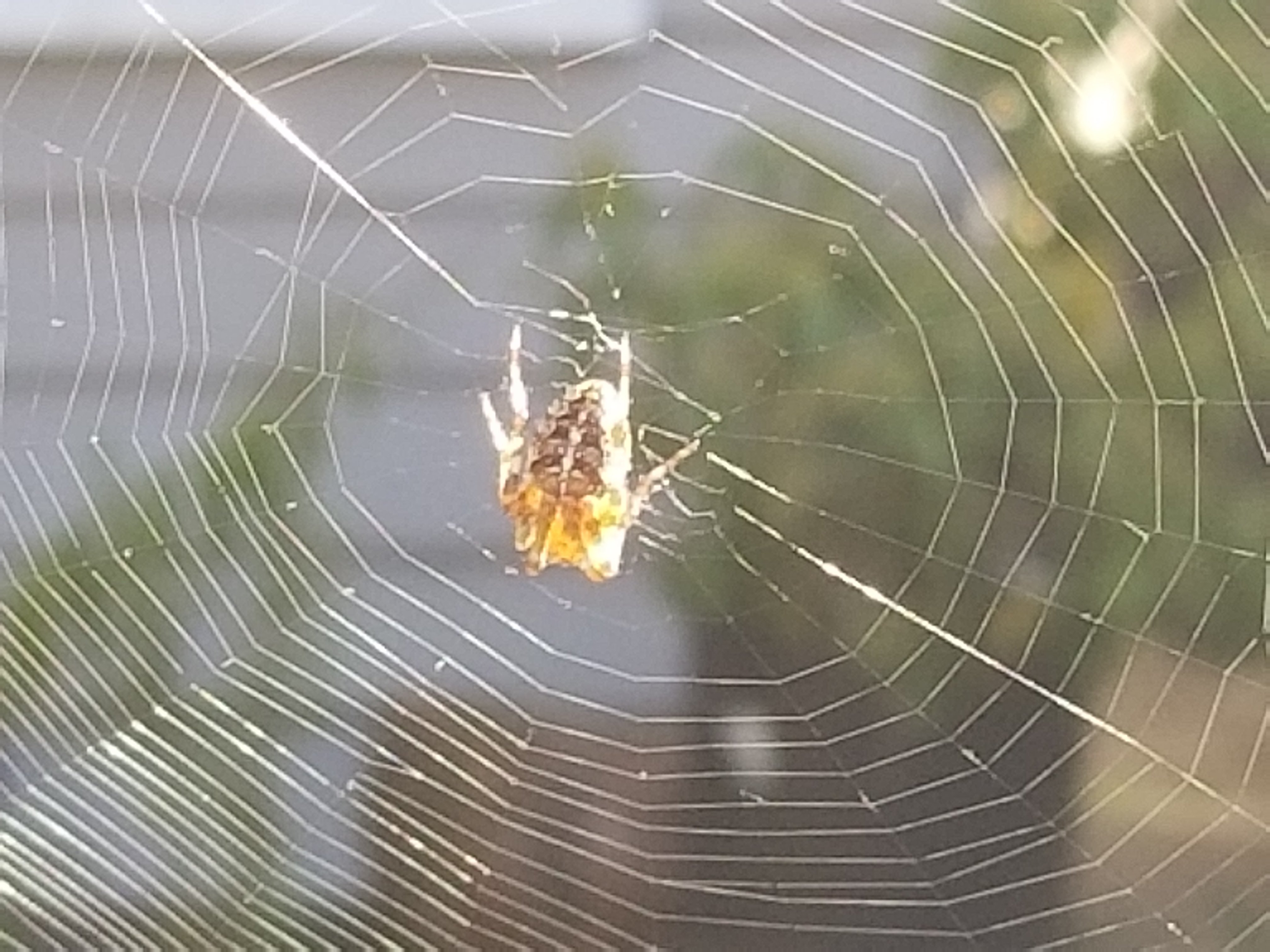20180924_111010.jpg