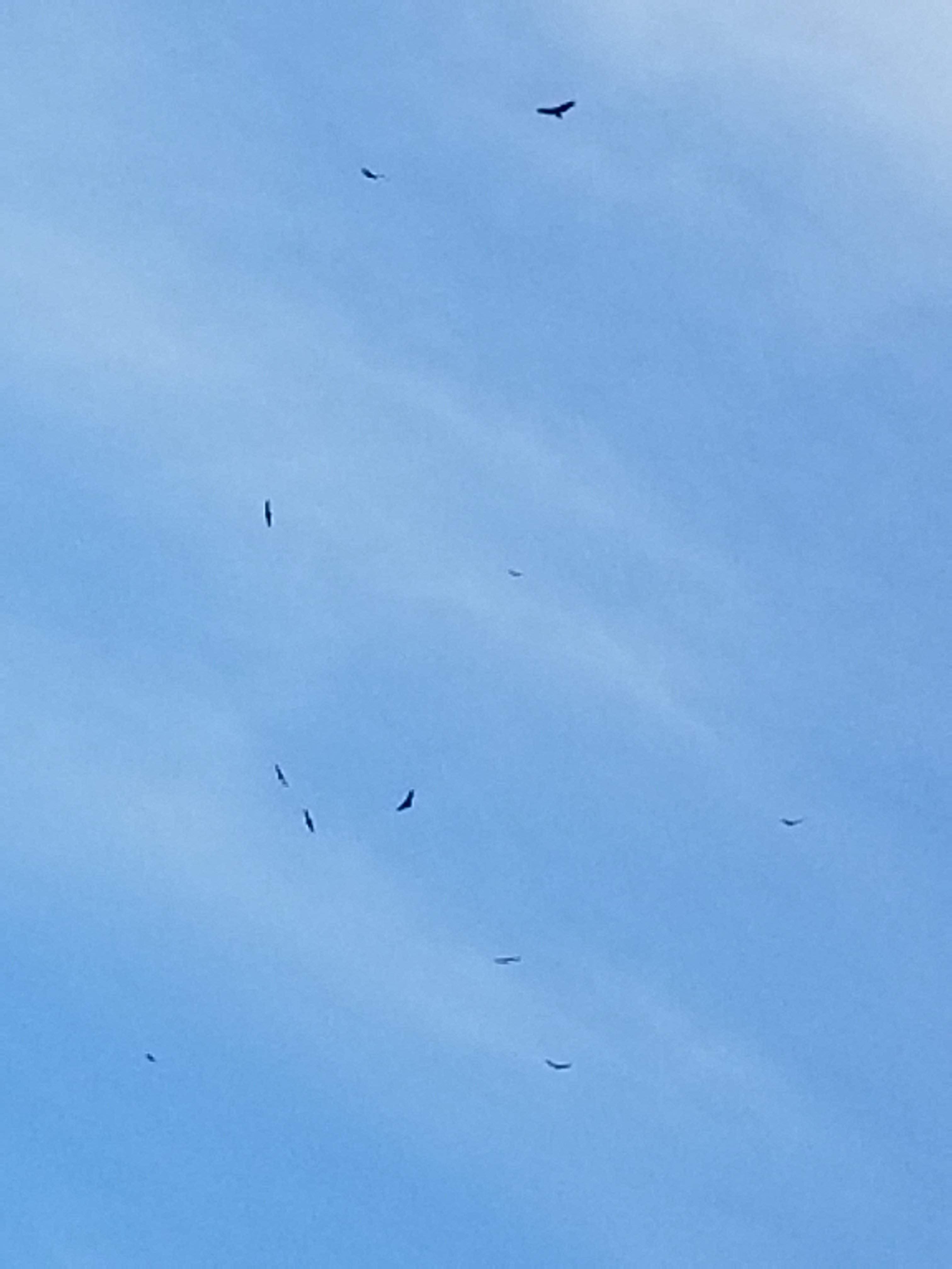 20180925_112652.jpg
