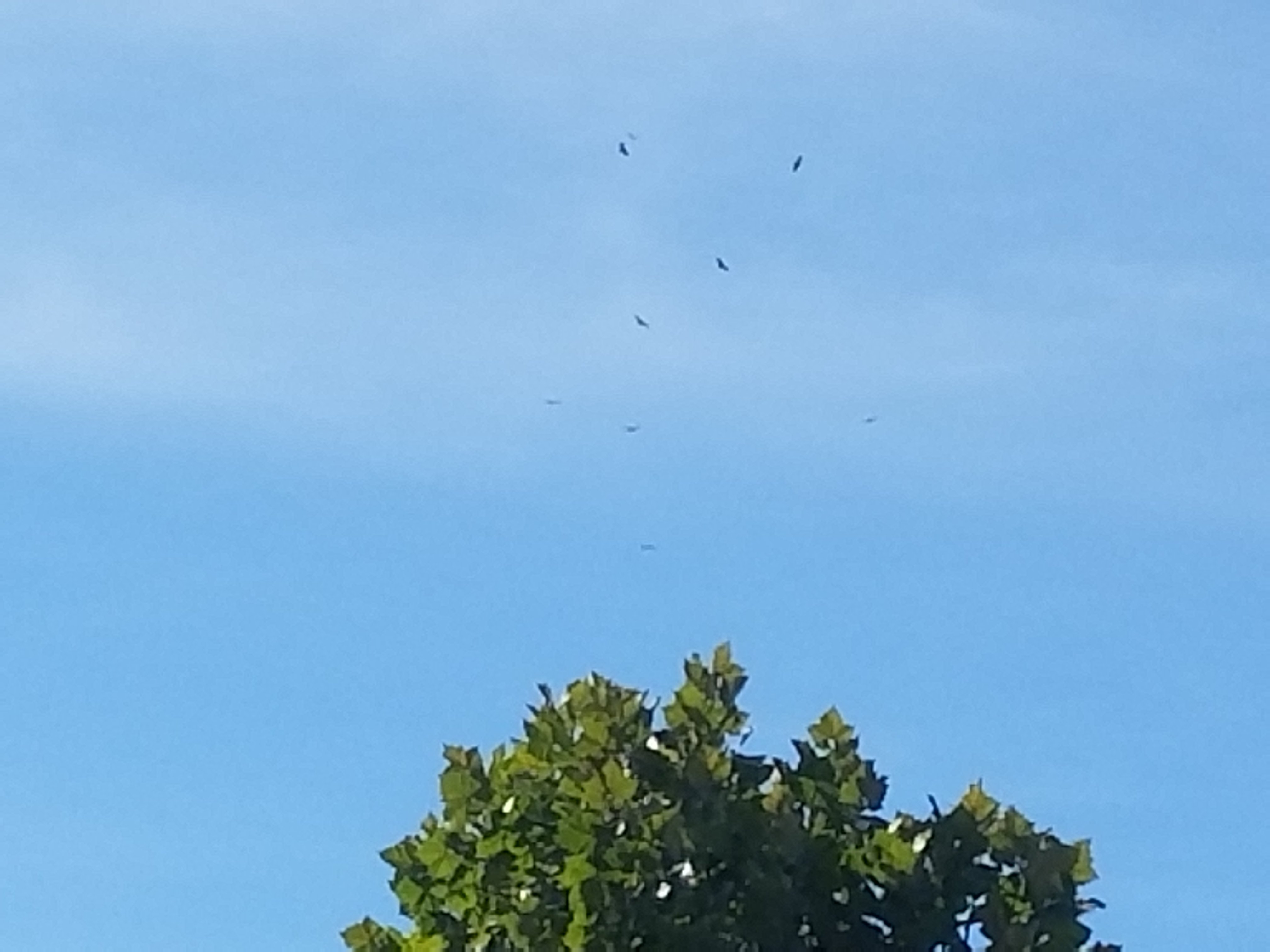 20180925_112736.jpg