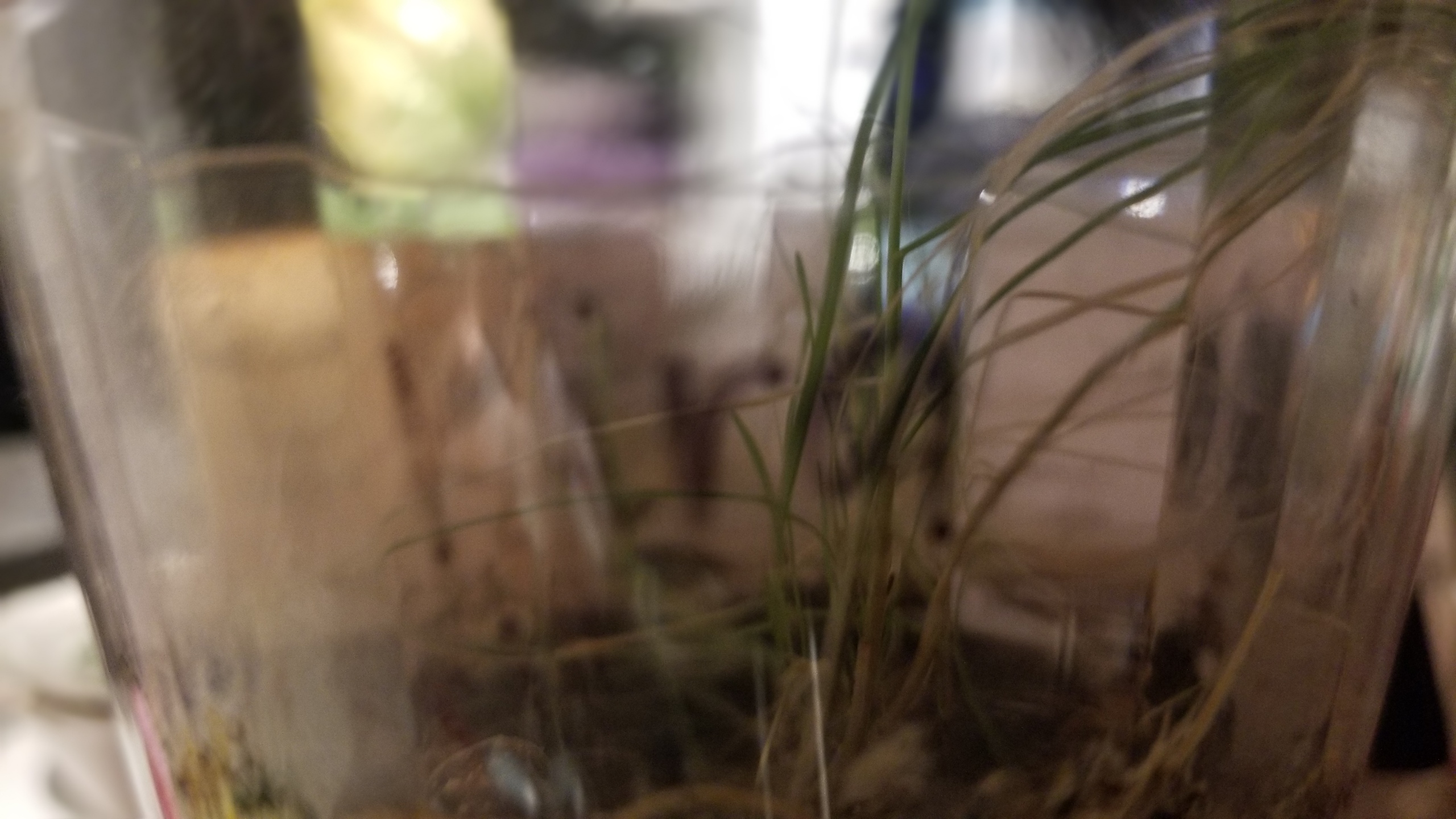 20180925_200612.jpg
