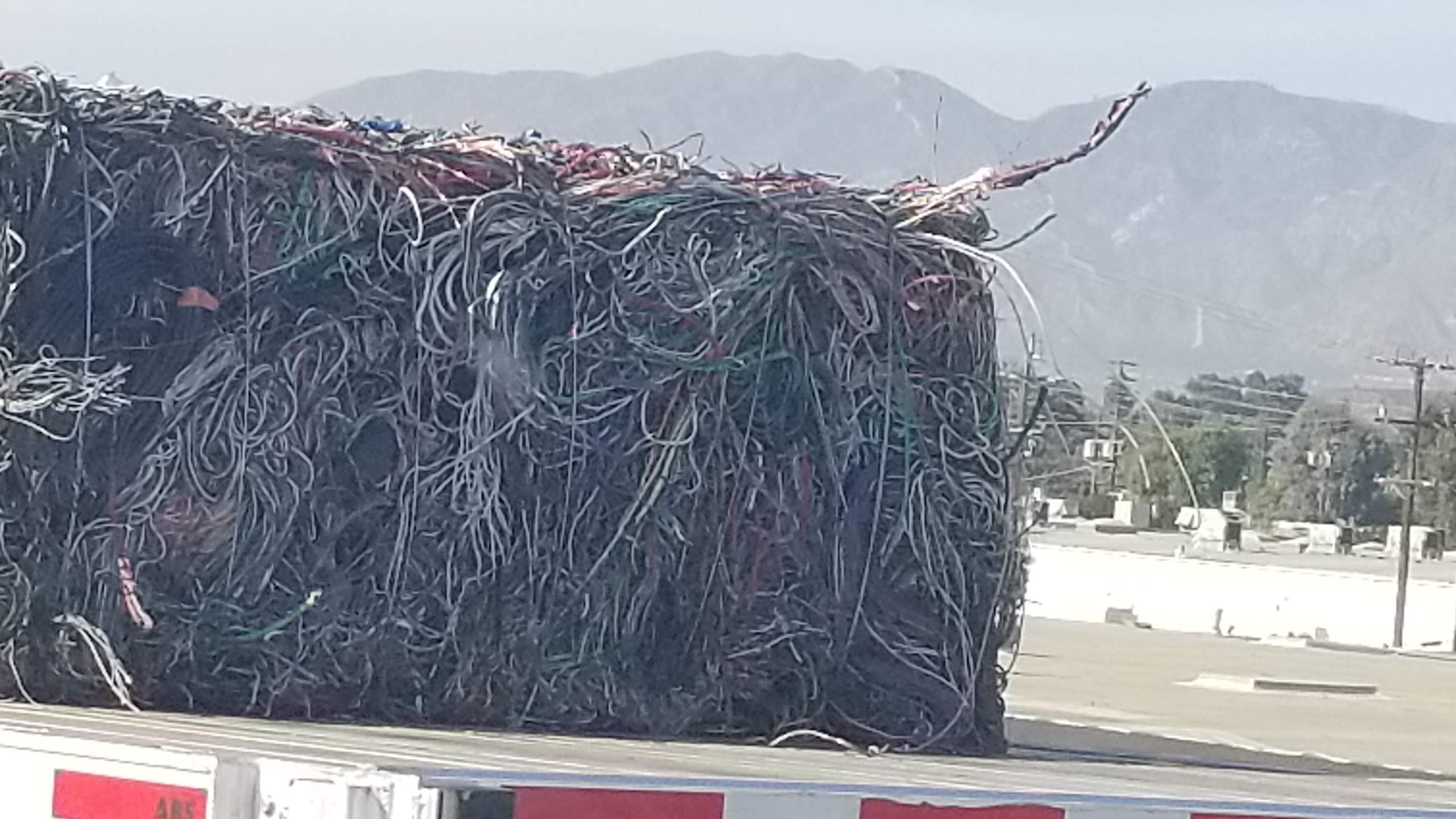 20180926_160137.jpg