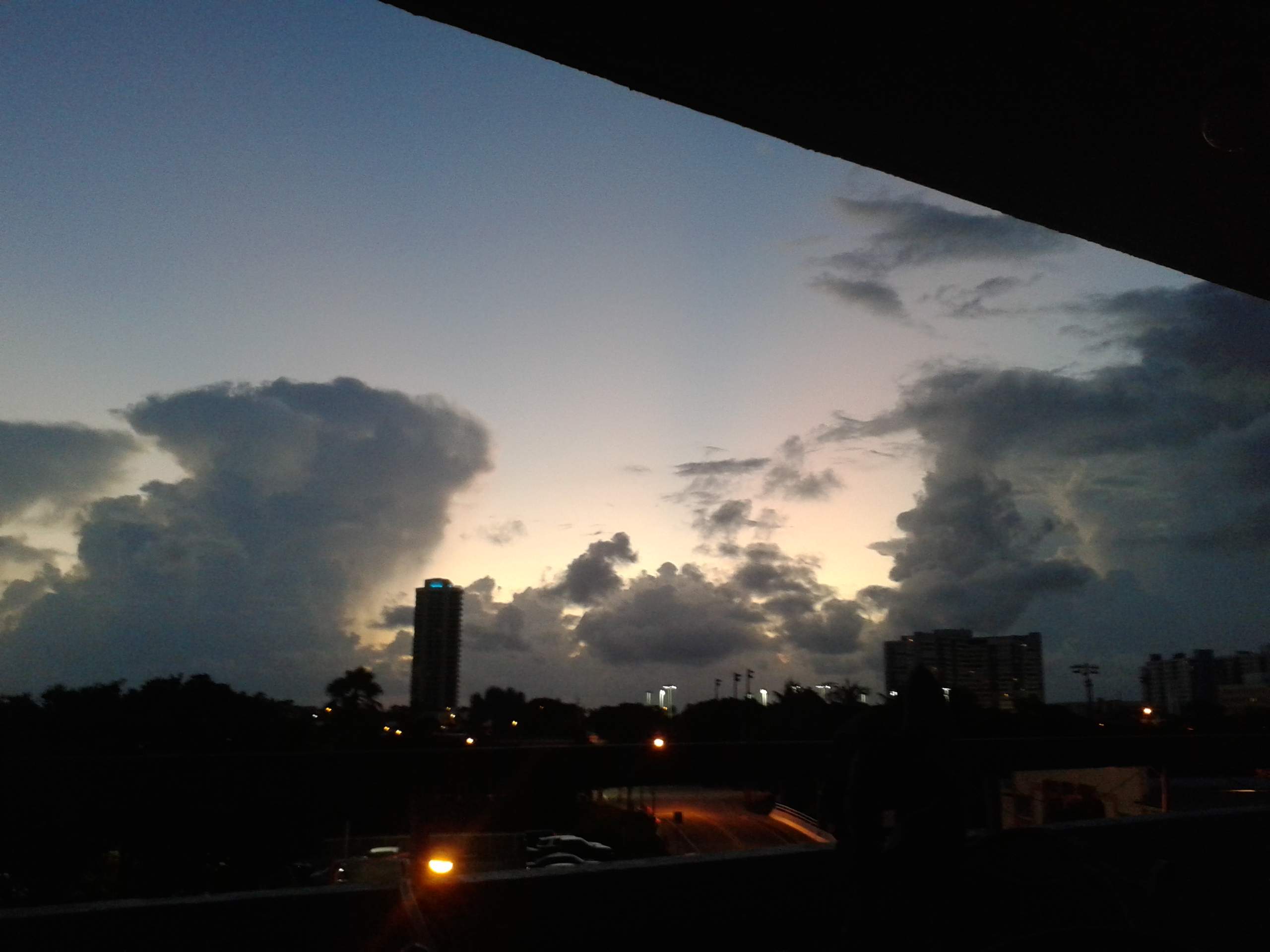 20180929_065222______A.jpg