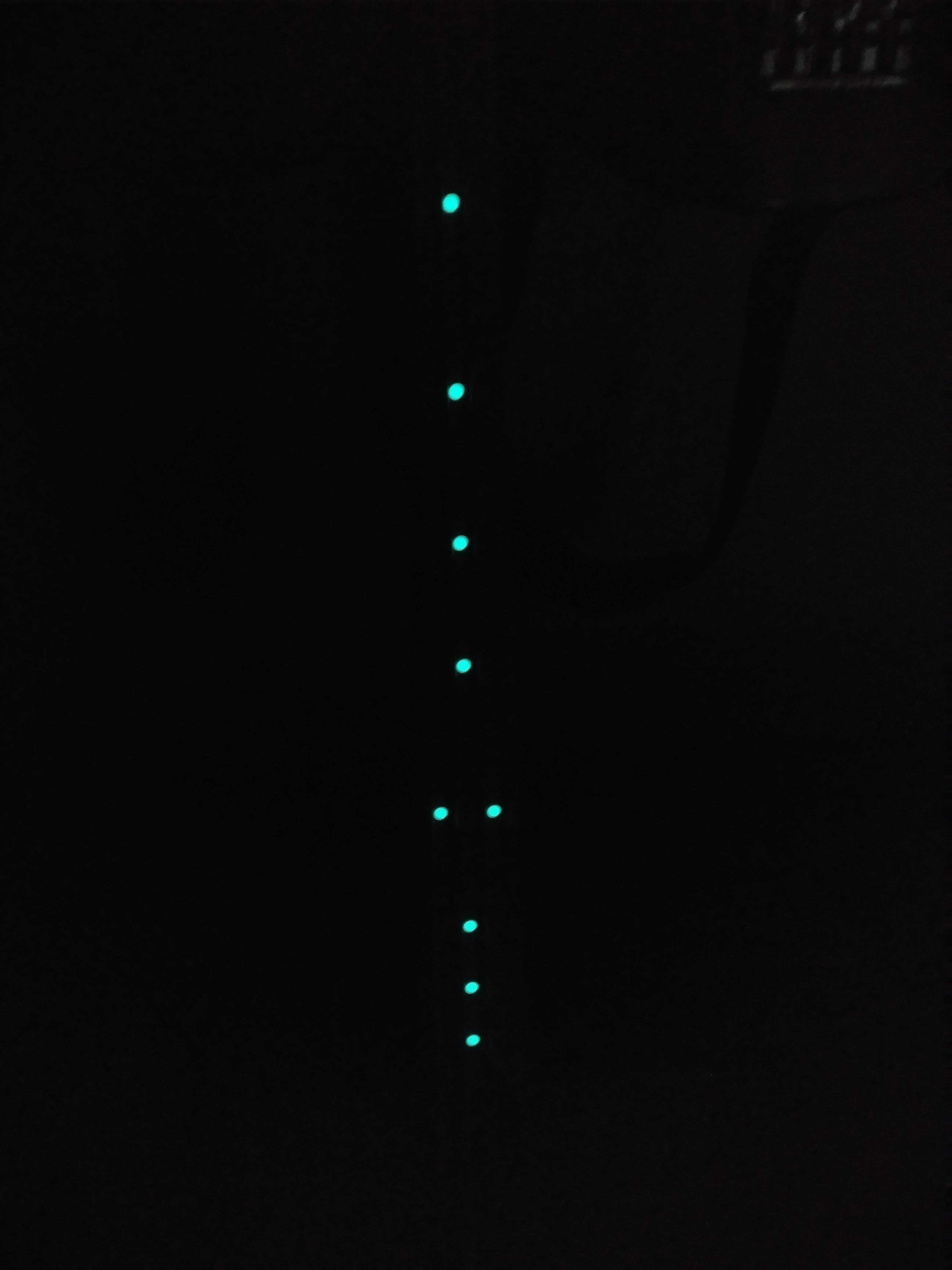 20180930_085929.jpg