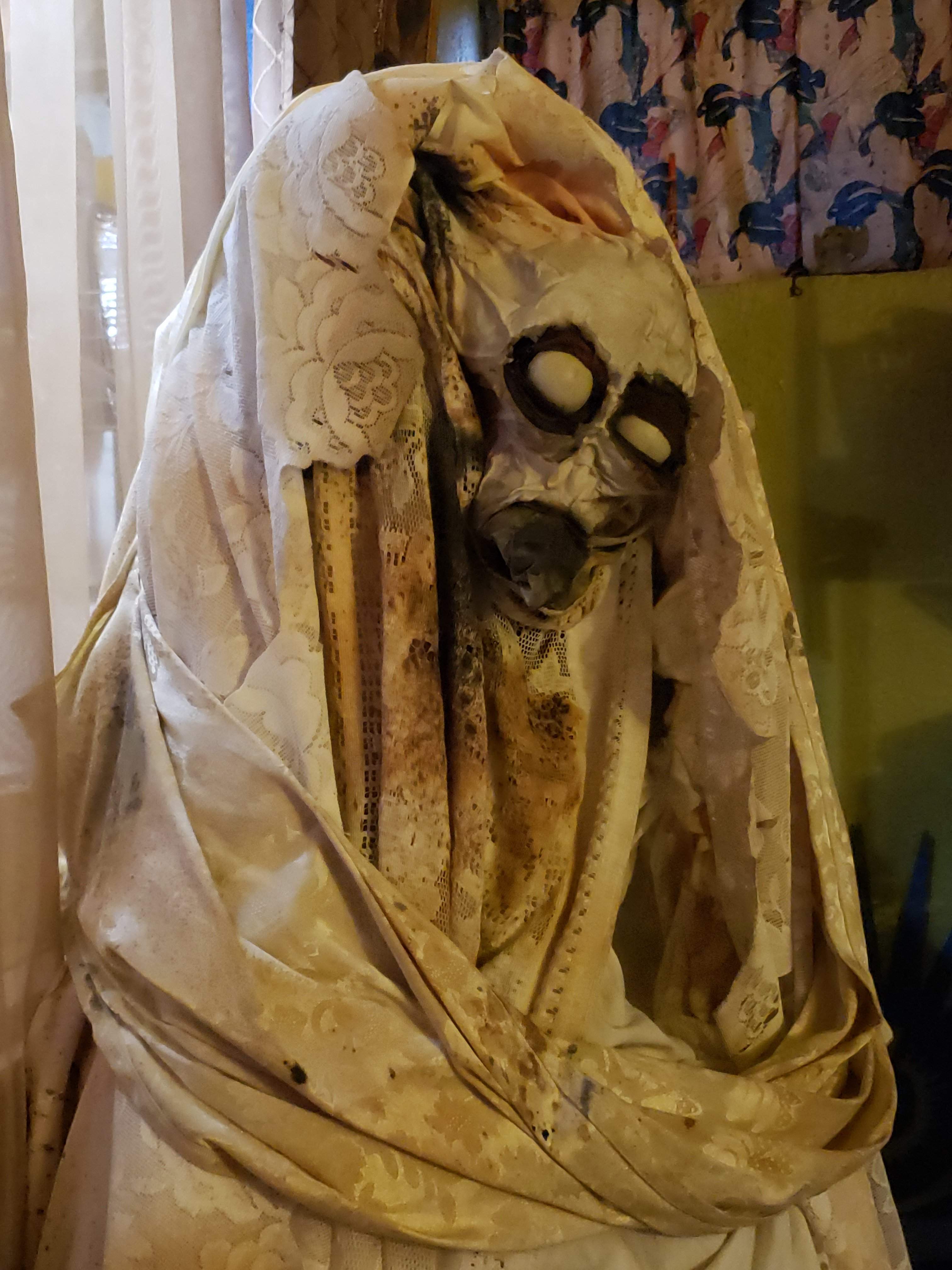20180930_173425.jpg