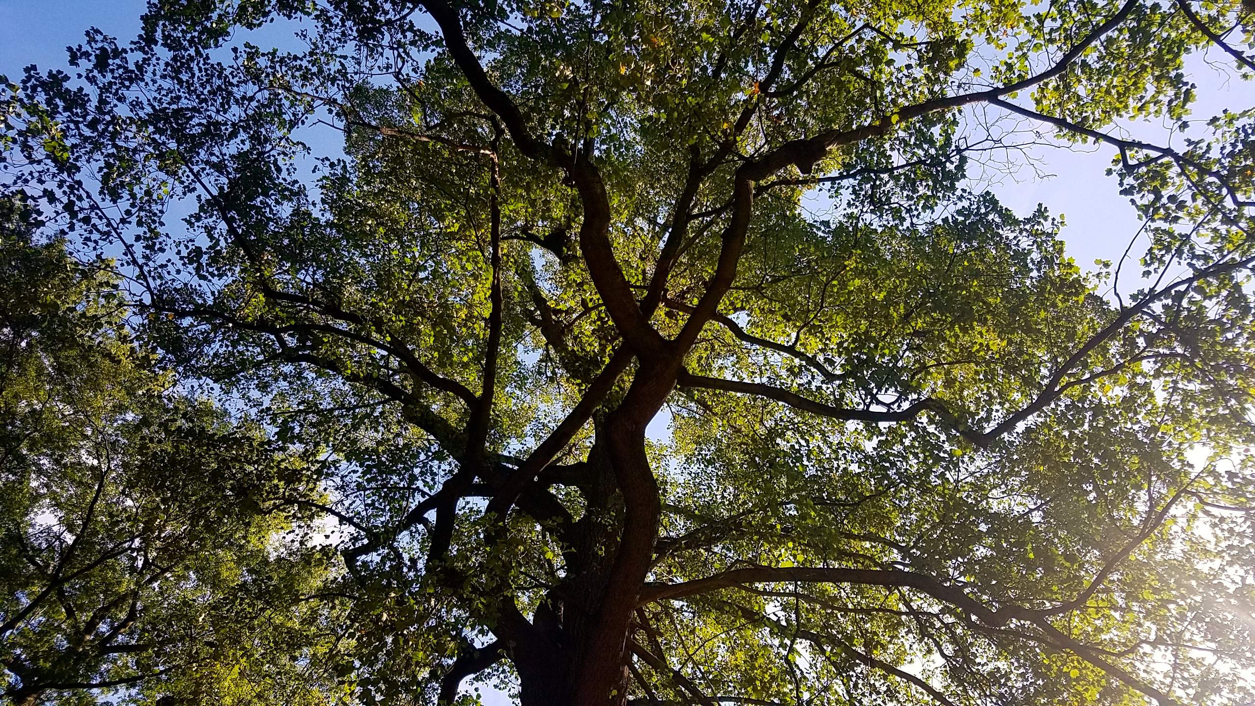 20181005_122351a.jpg