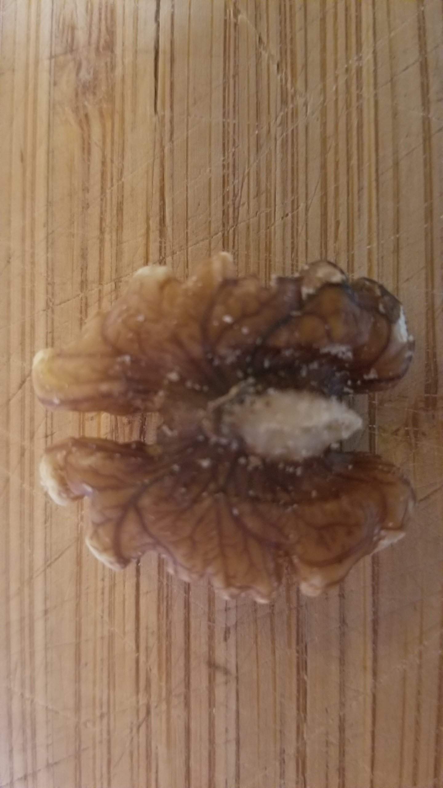 20181007_143544.jpg