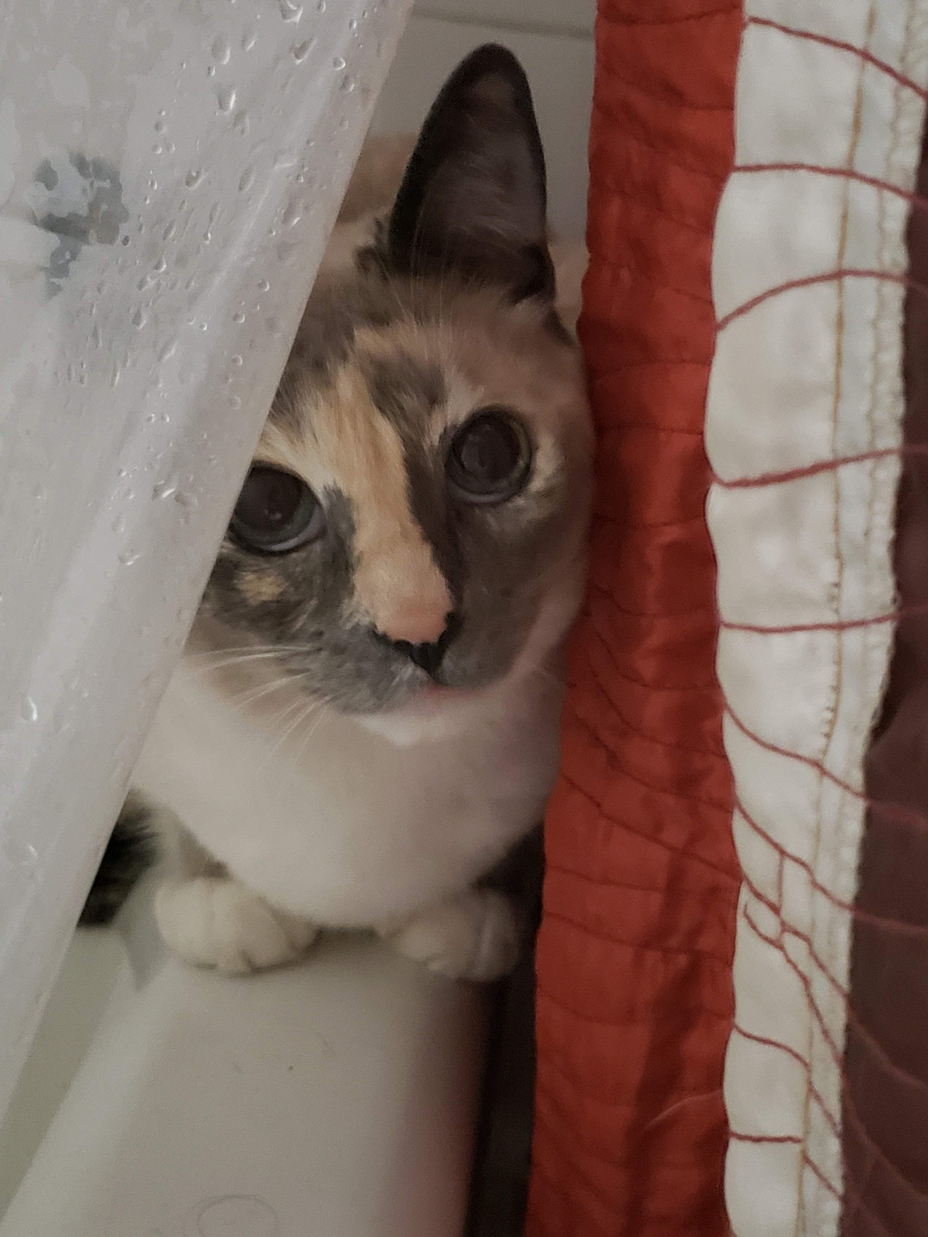20181008_024203.jpg