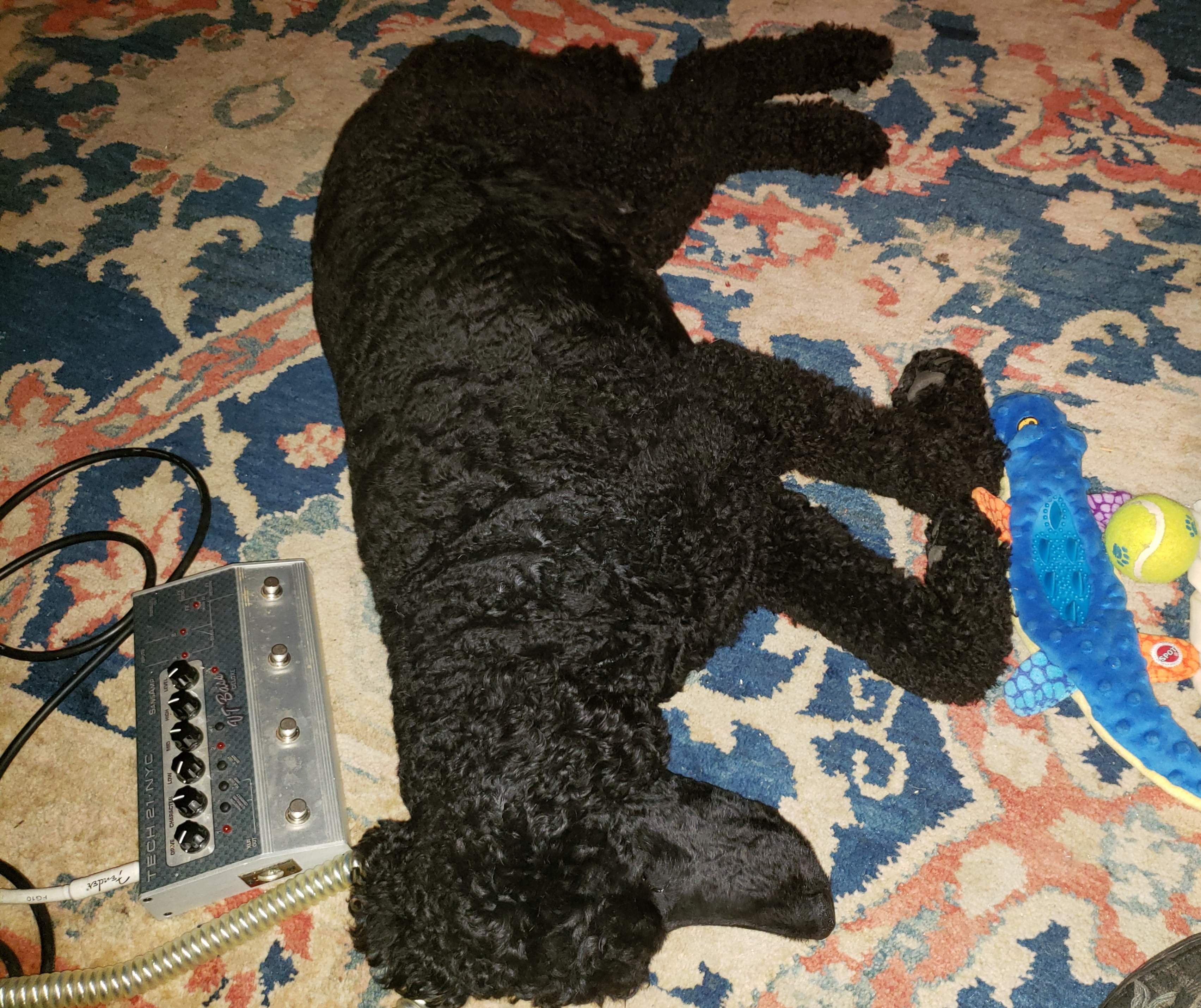 20181008_204818.jpg
