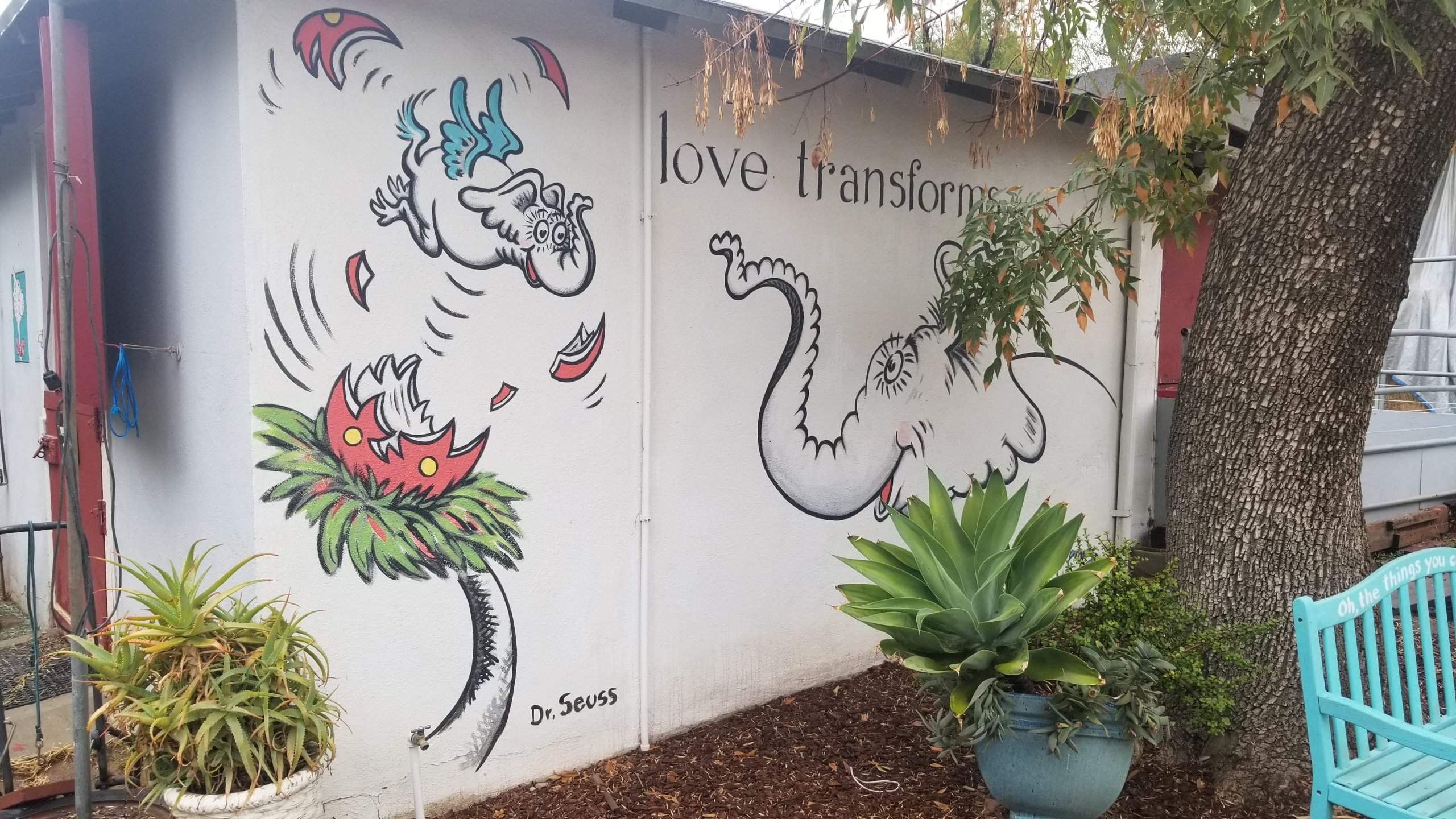 20181013_092349.jpg