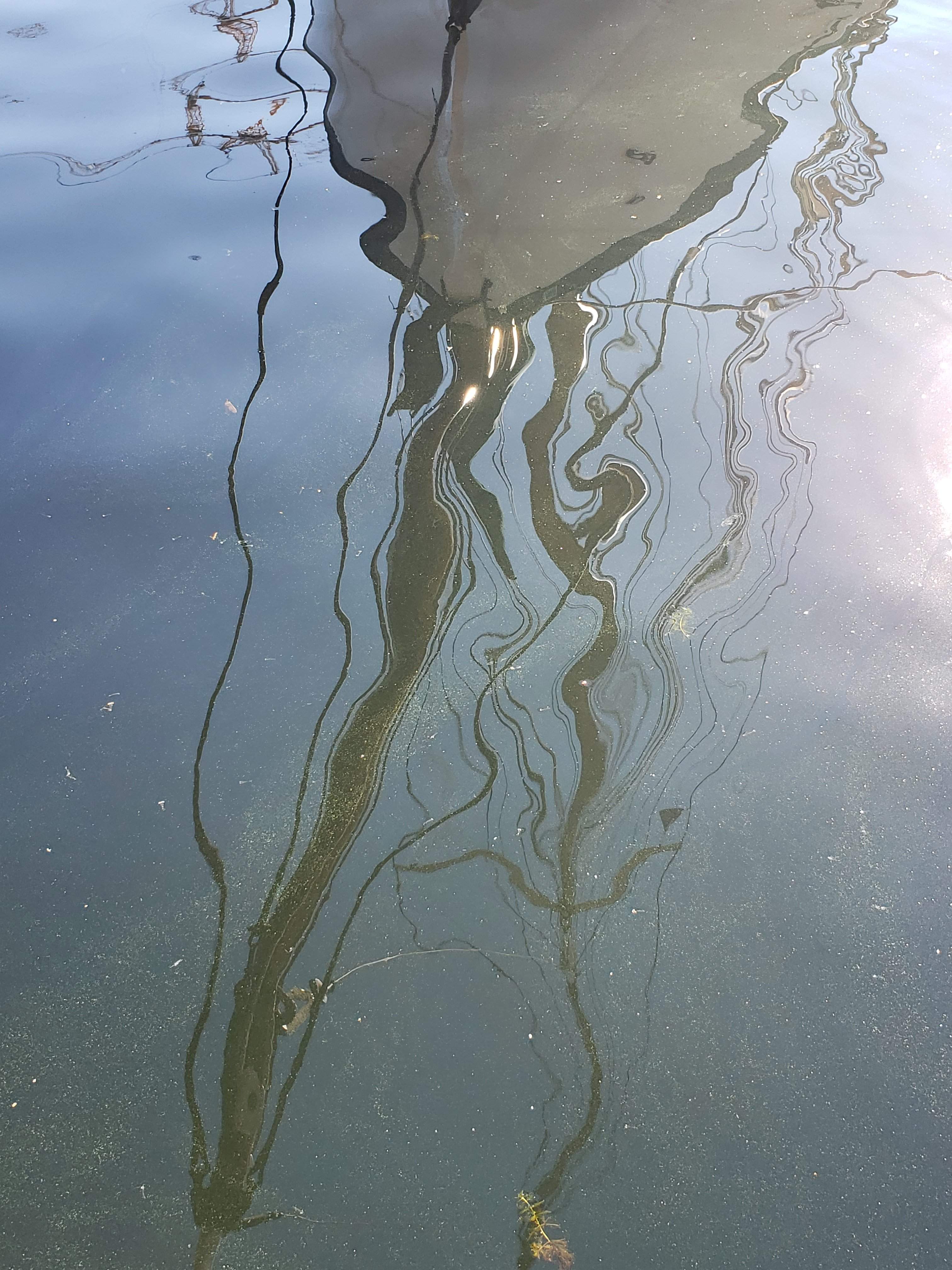 20181016_133534.jpg