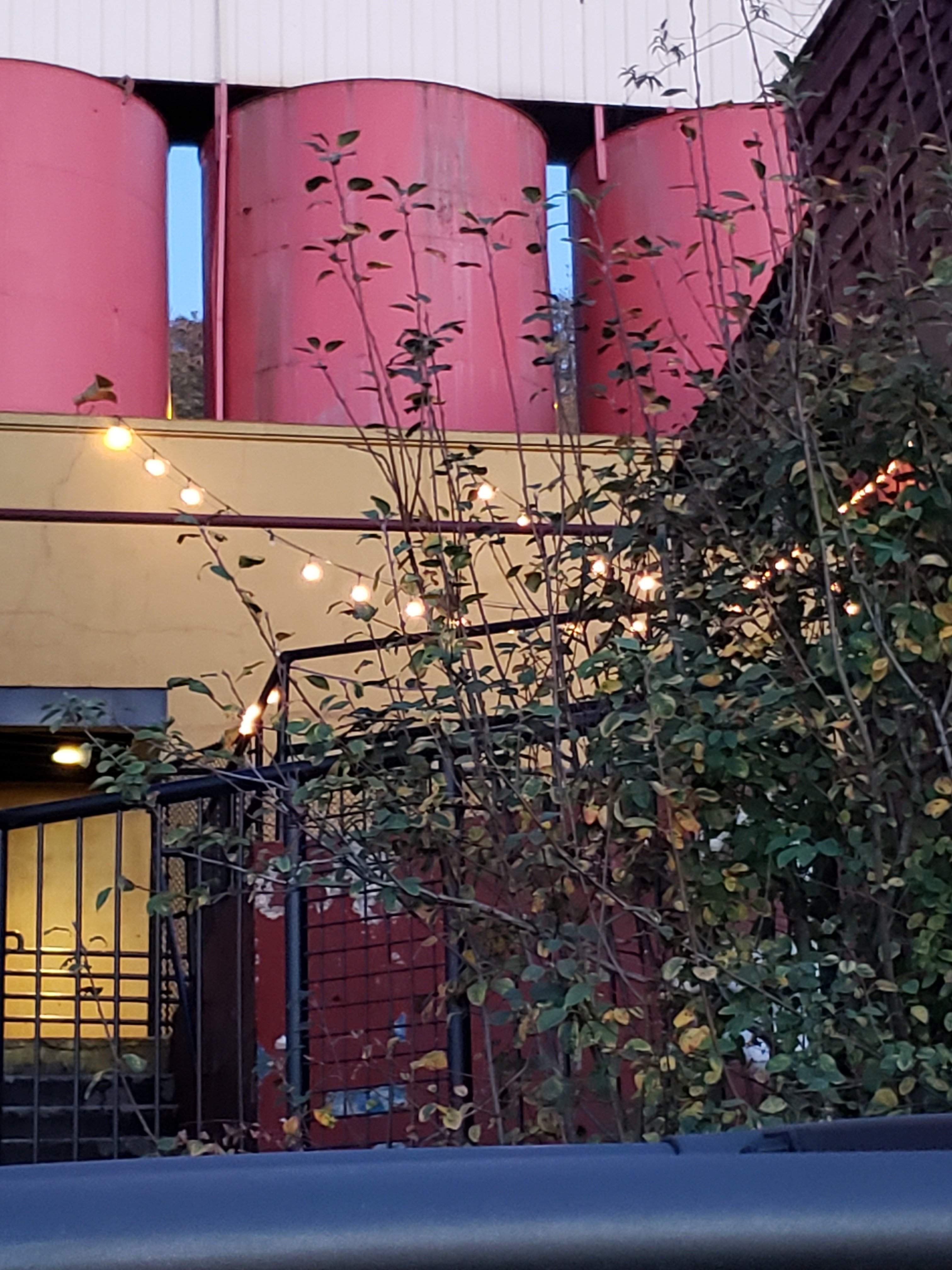 20181017_183939.jpg