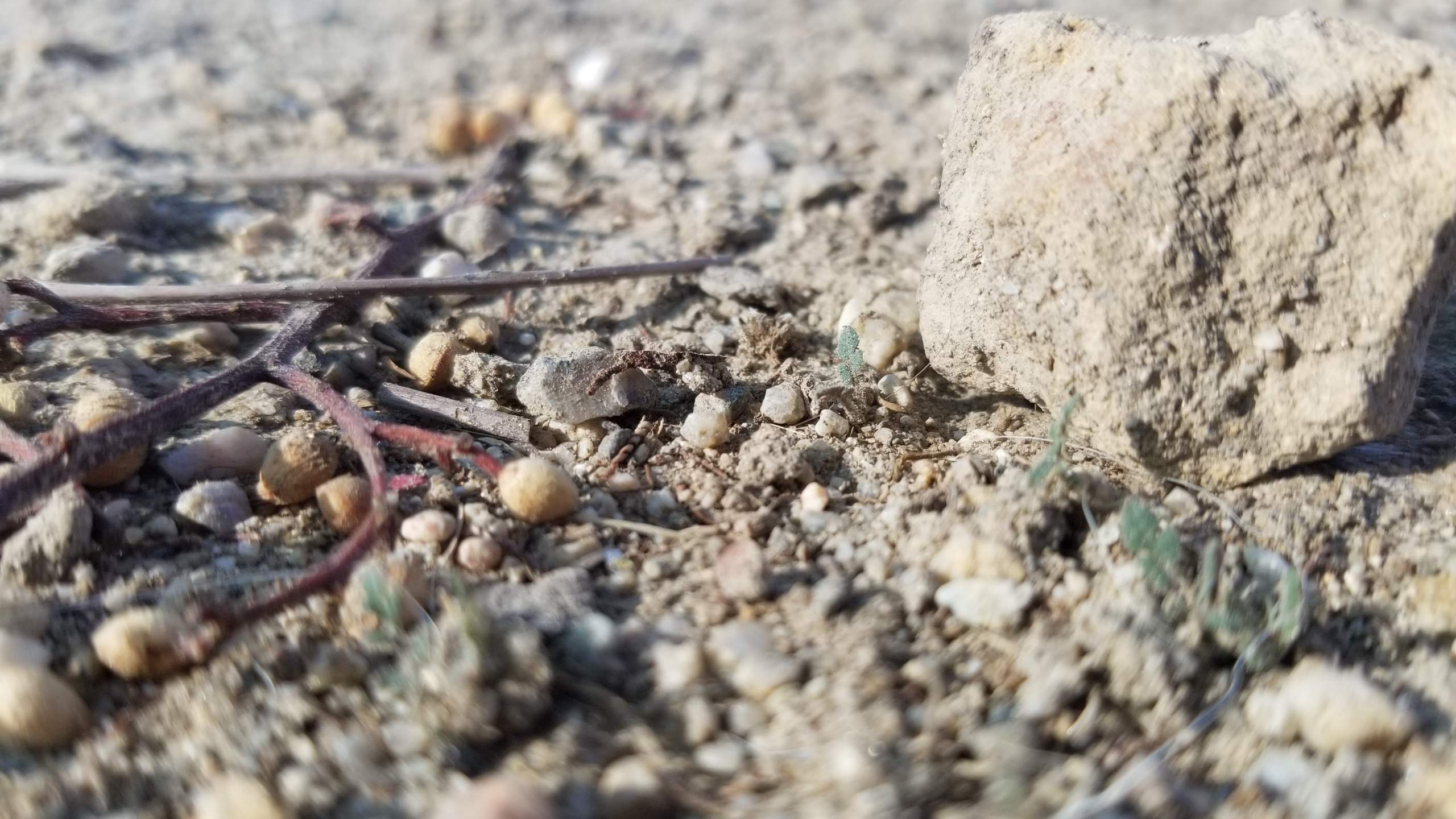 20181020_095322.jpg