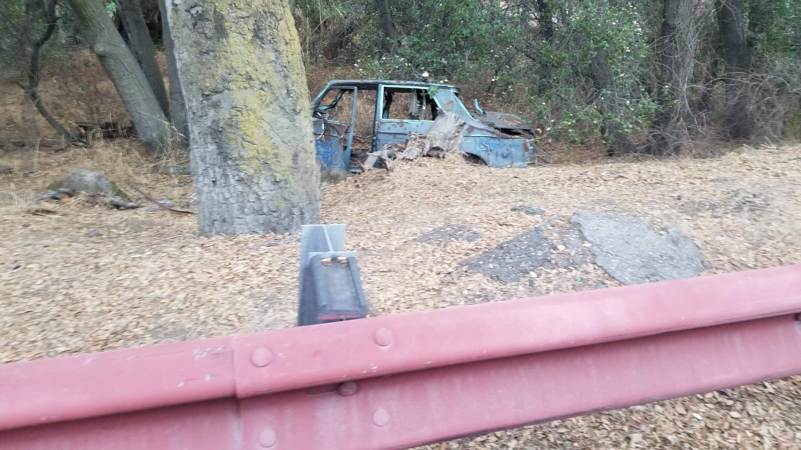 20181027_175659.jpg