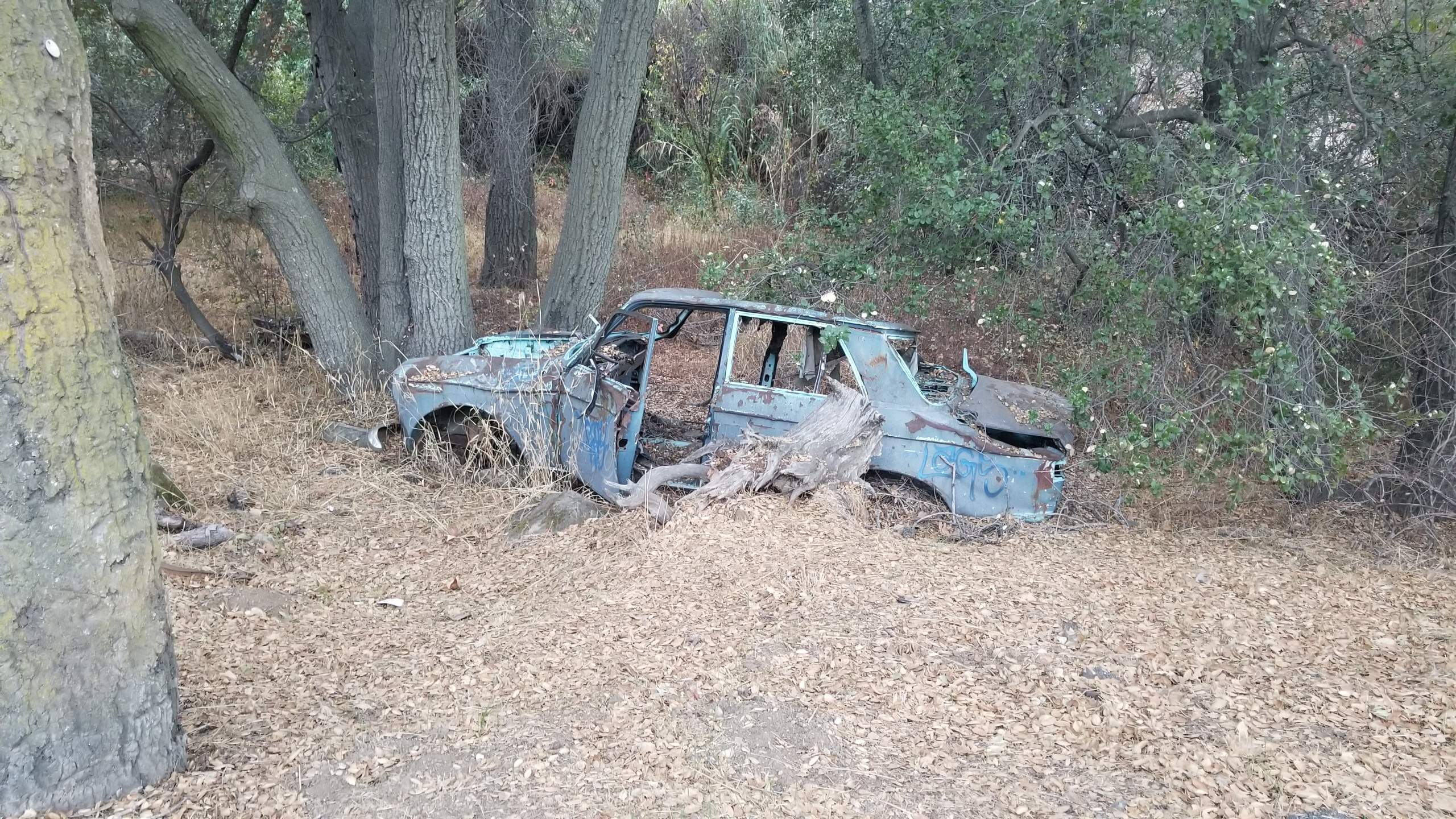 20181027_175703.jpg
