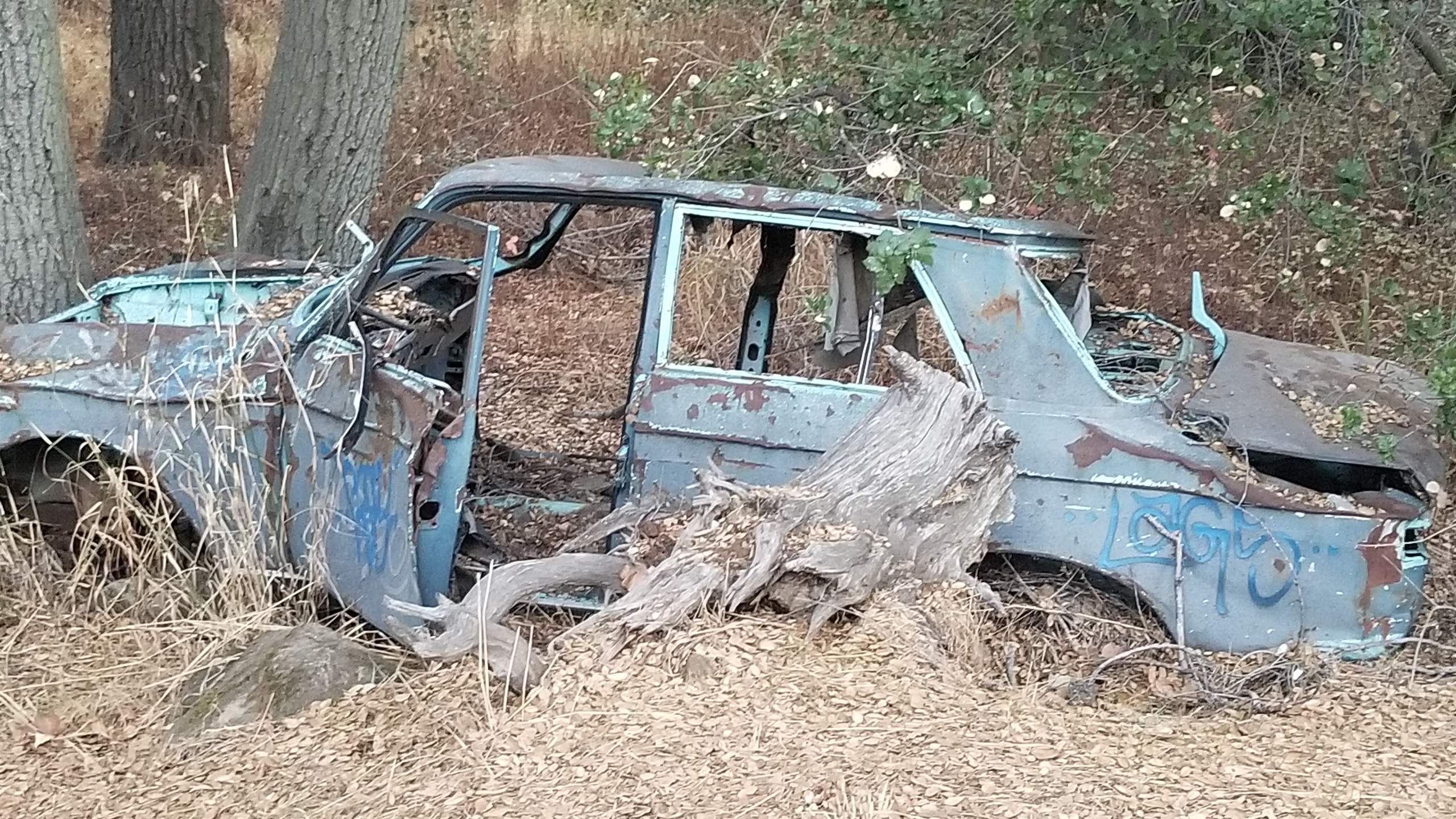20181027_175708.jpg