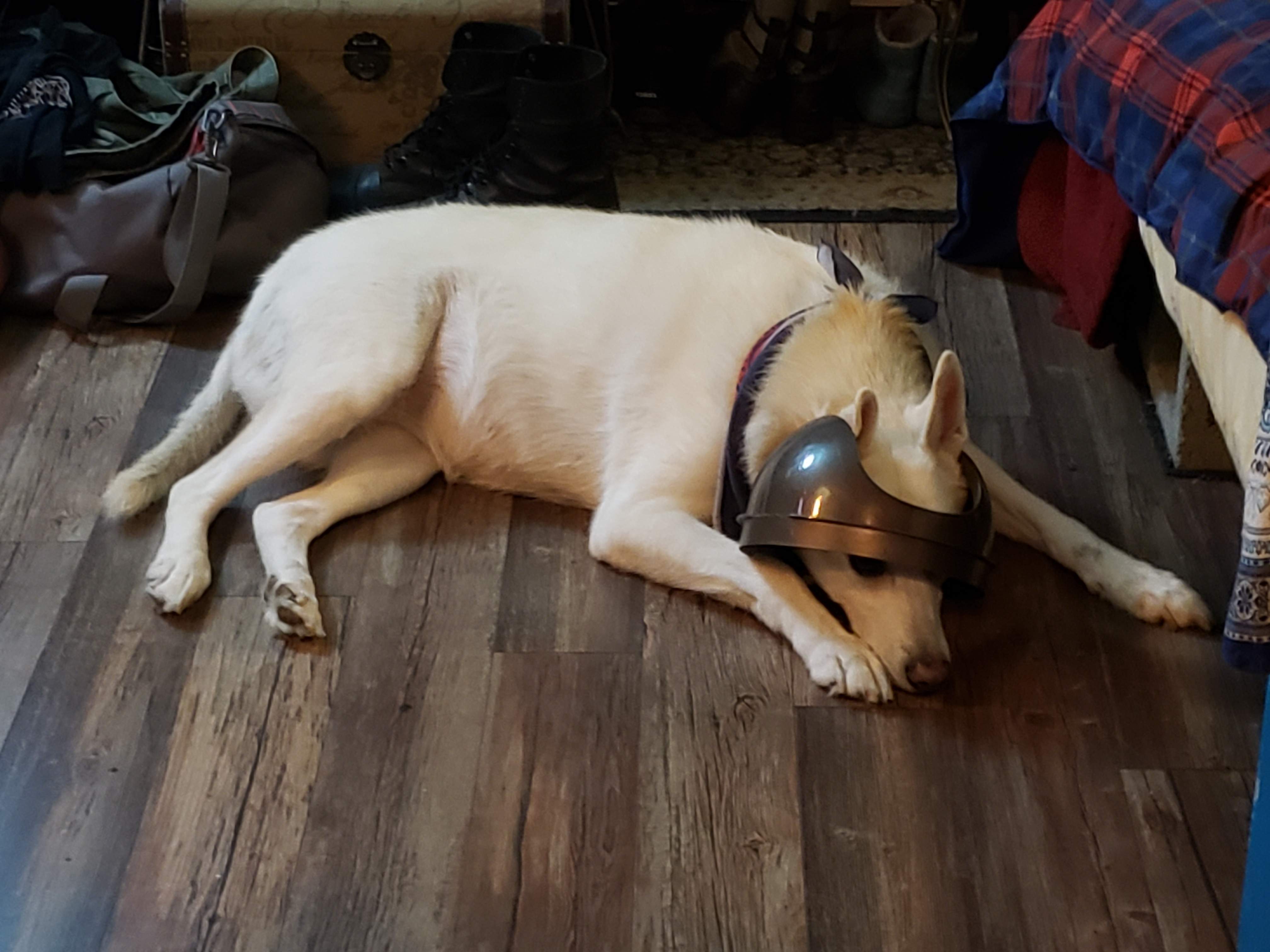 20181028_001501.jpg